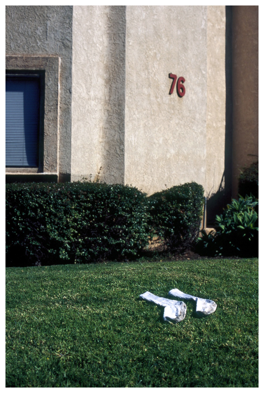 76 Pairs of Red Kites, 201335mm color slide film11.569 x 17.472 in.29.39 x 44.38 cm