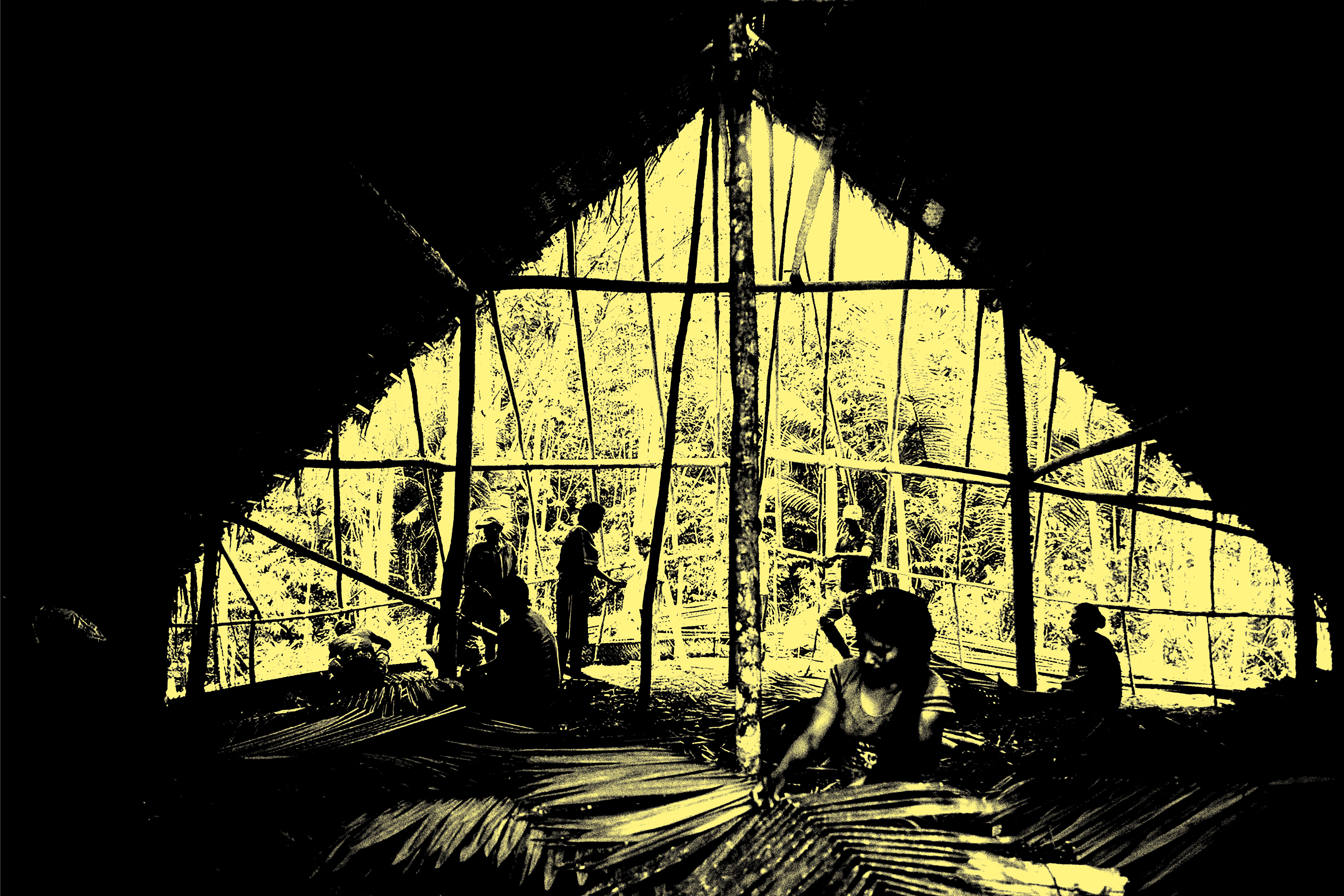 → the maloca of the matsés, 2024