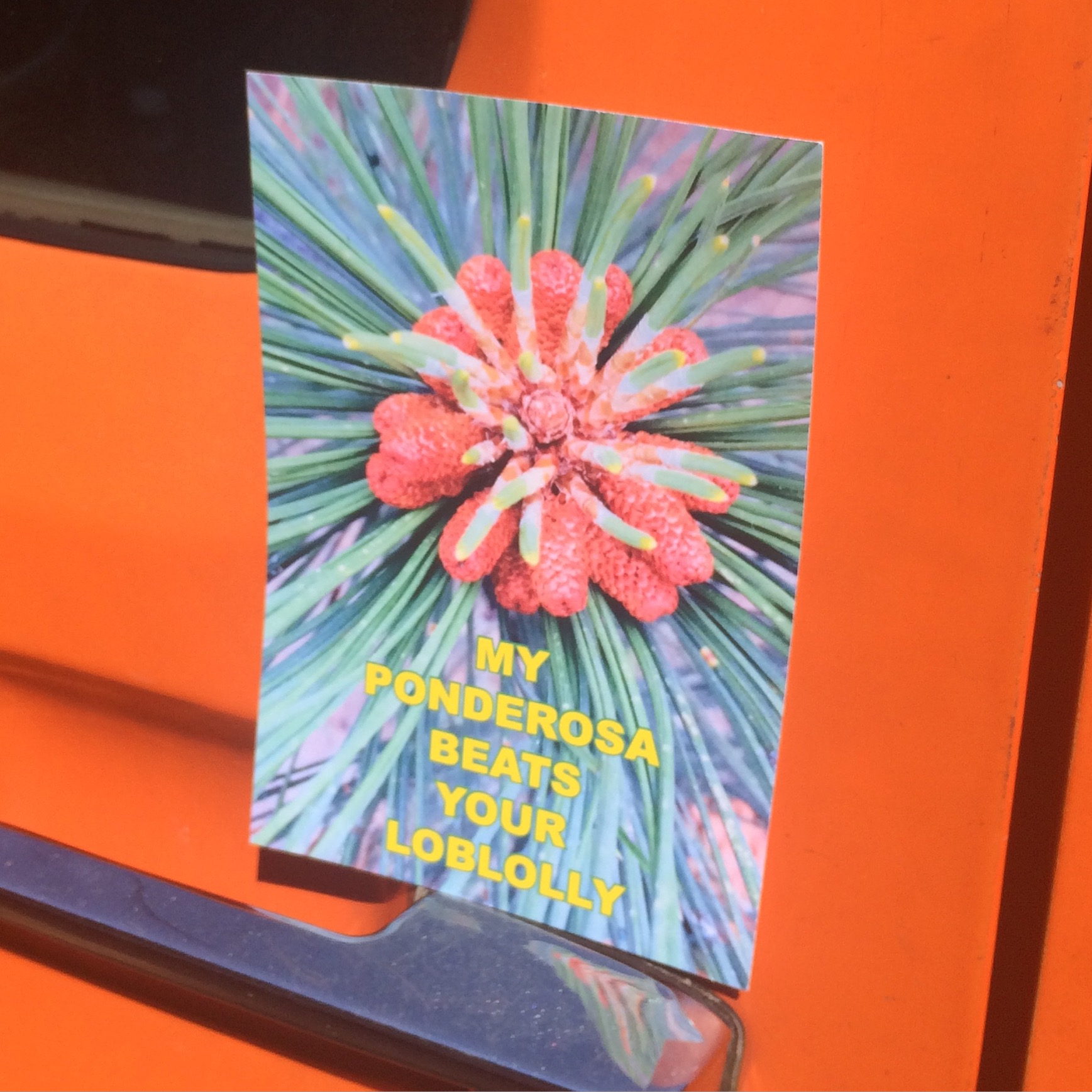 Mary Lou's card in Summit, MS