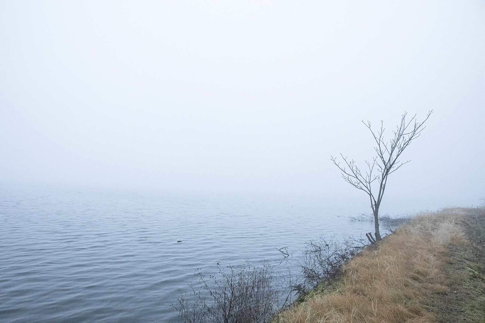 PHOTOGRAPHY RAF STUDIO at  VILLA KUJOYAMA