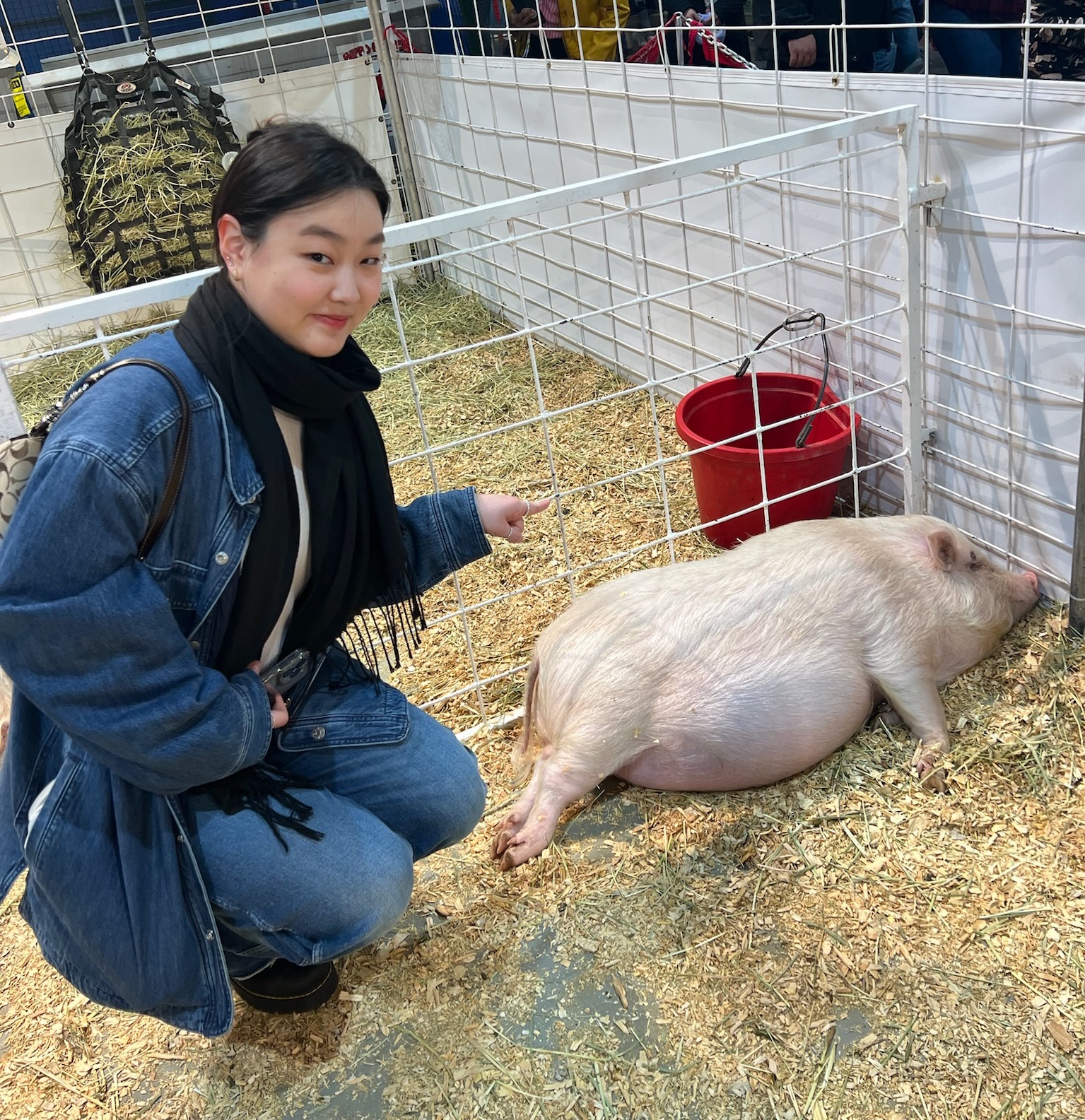 me with a sleepy pig