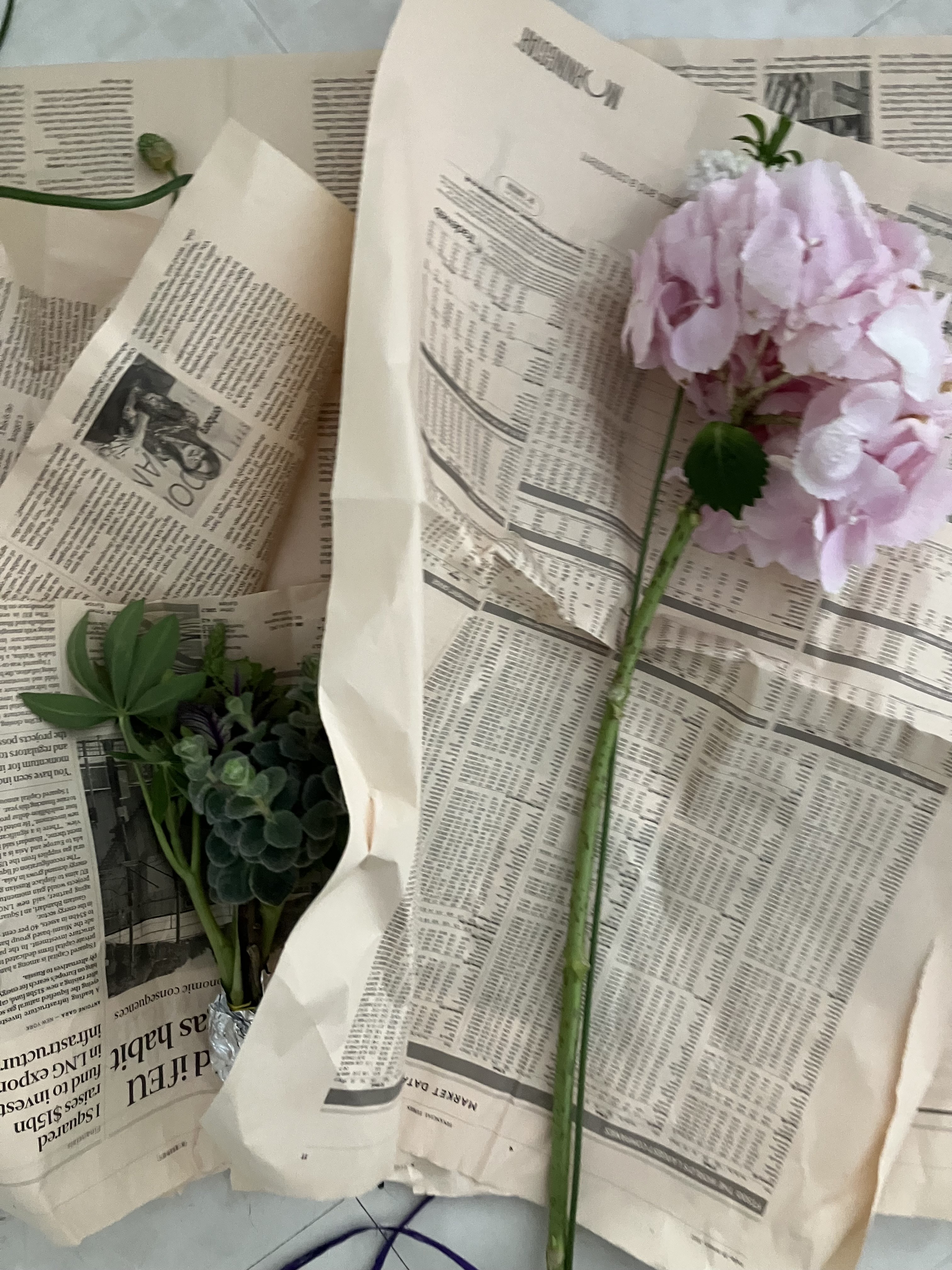 いきつけのお花屋さん - FEBRUARY 13, 2025