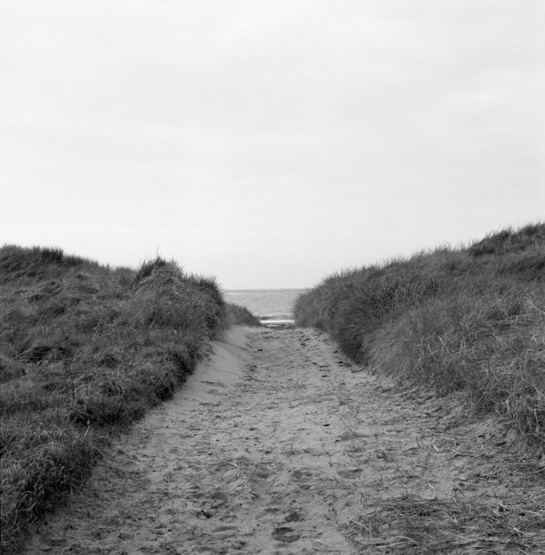 BEACH PATH