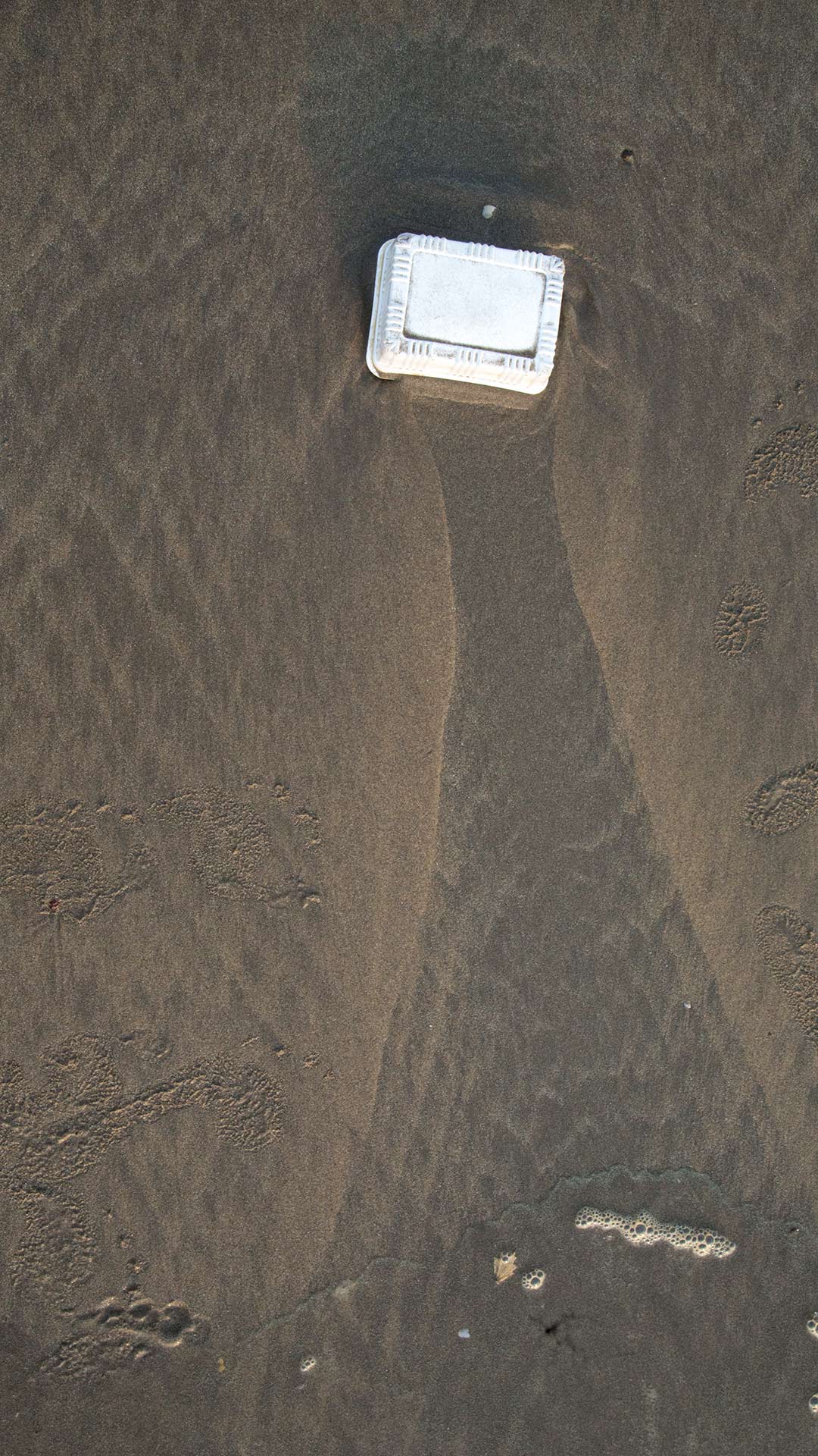 Choreographing Floors