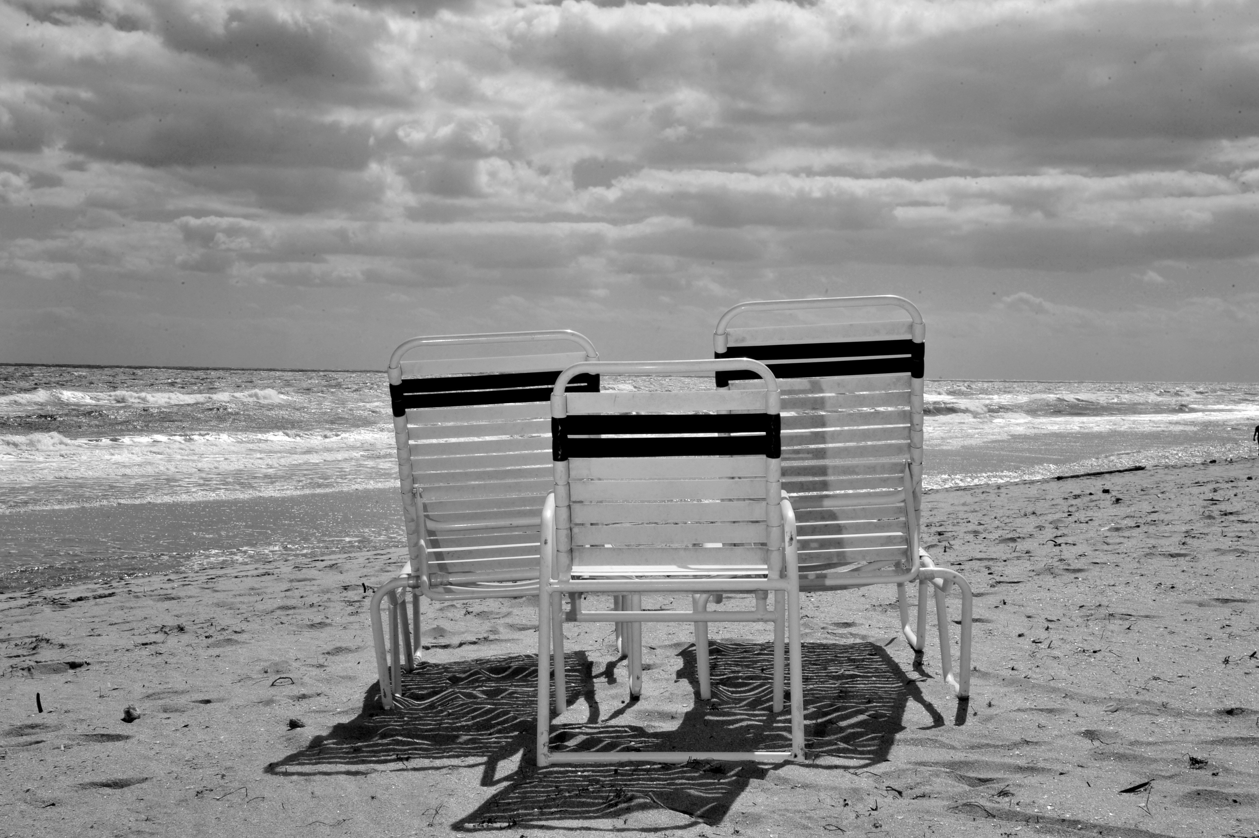 DSC 2142 FloridaBUY THIS PRINT