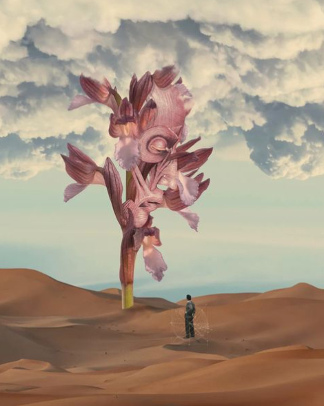 Guilherme Albuquerque