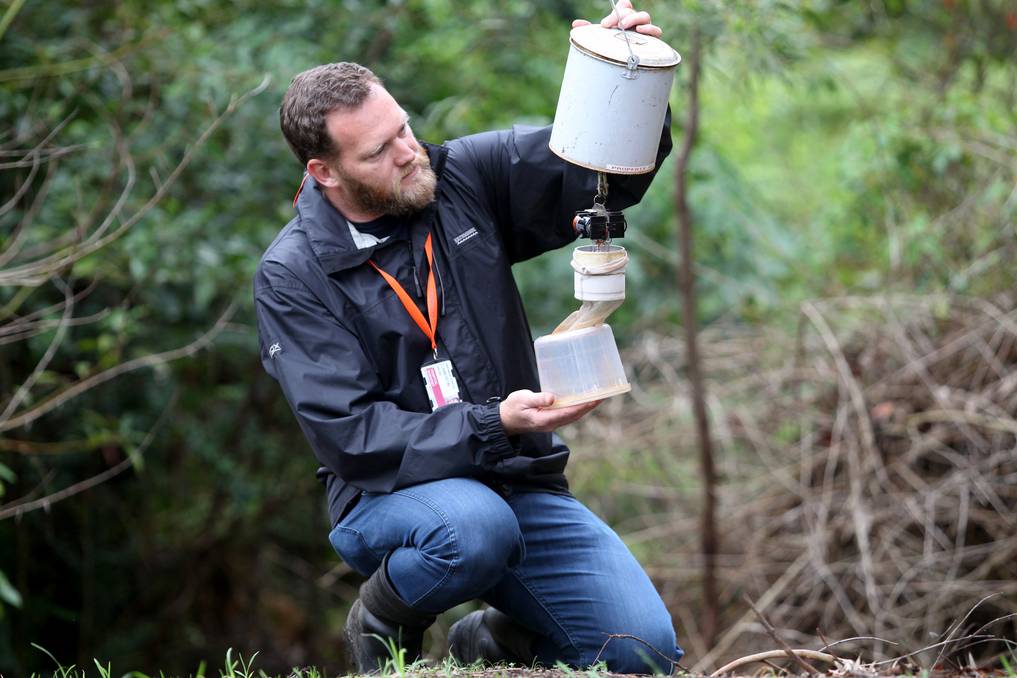 A Connection to Nature