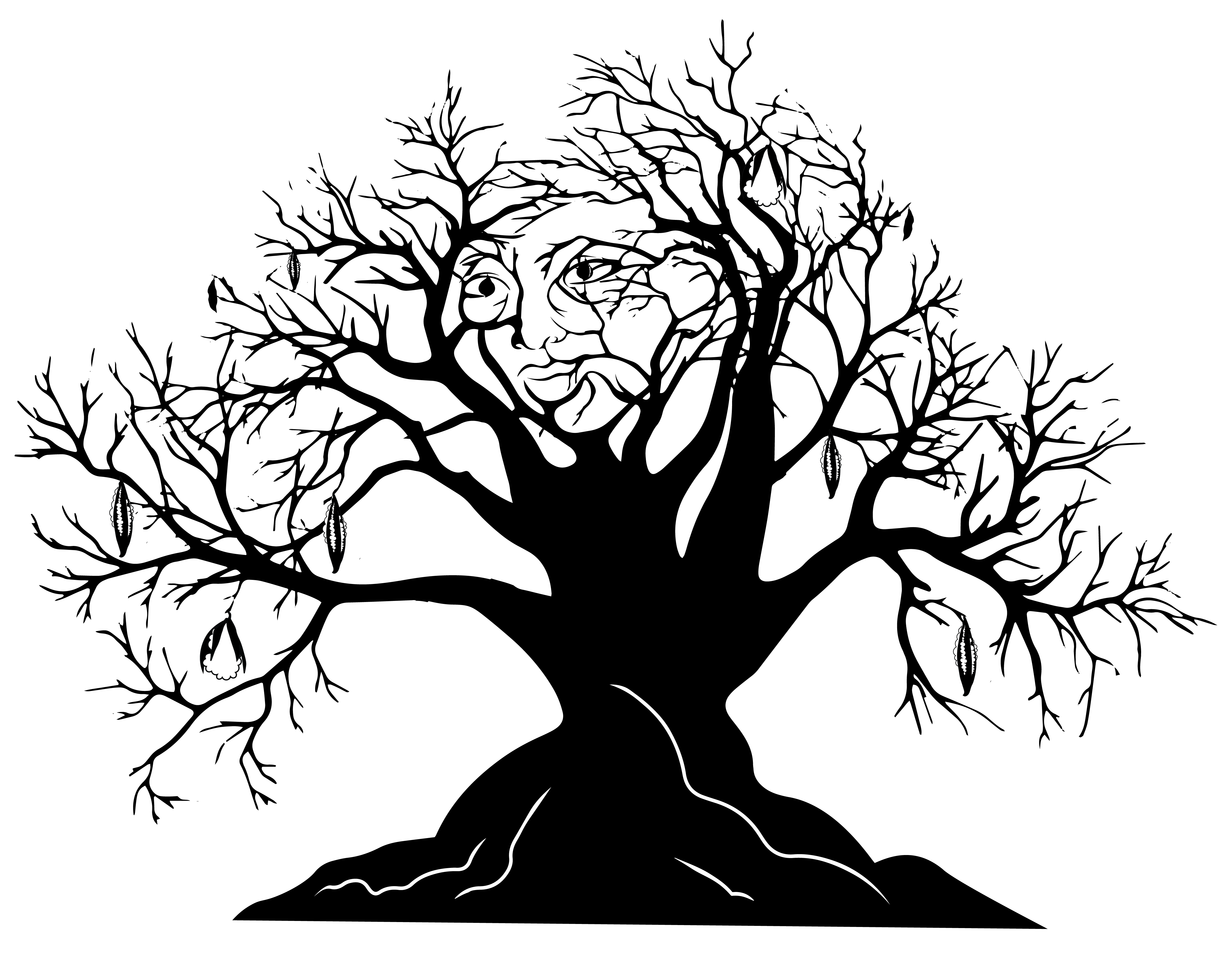 Silk Cotton Tree — Conversations x Constellations