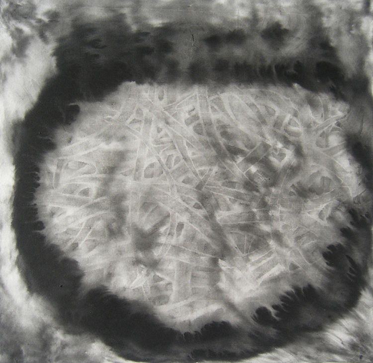2019 tidal pool / this new land was colonised by lycopod forests, 50cmx50cm