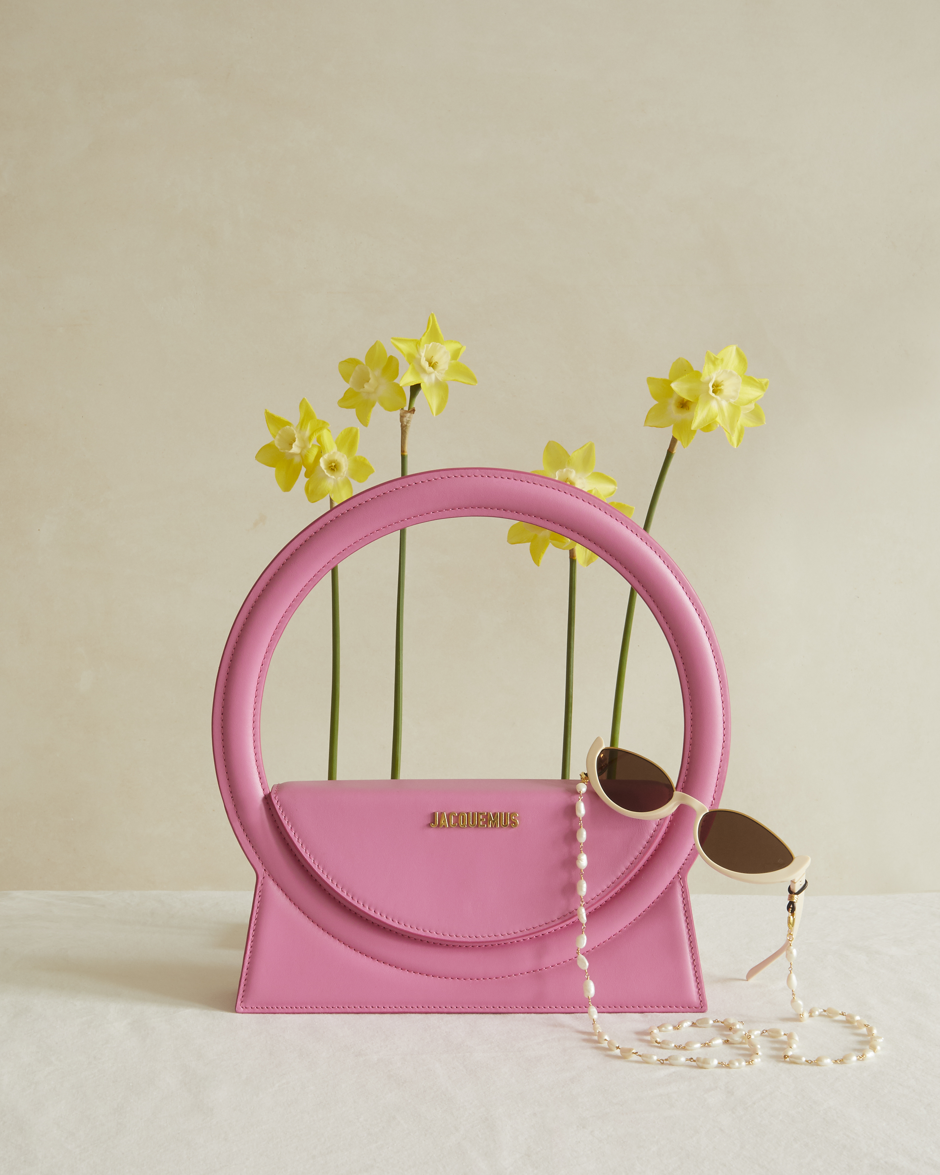 The Go To - Juliet Caswell