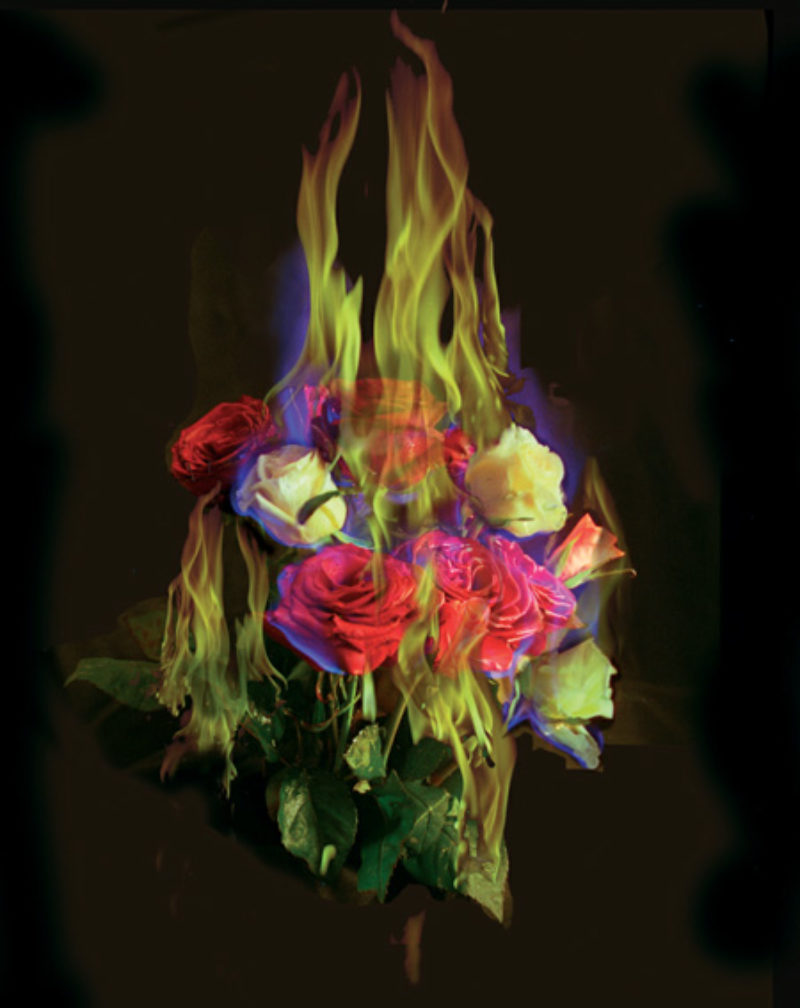 Mat Collishaw