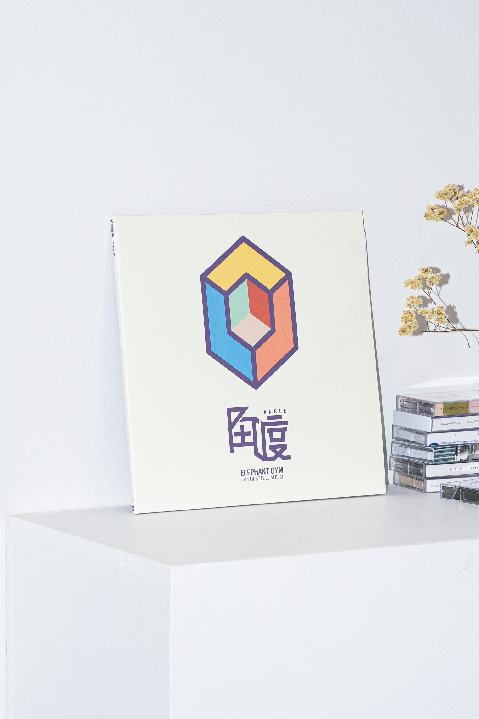 angle - elephant gym - 2023