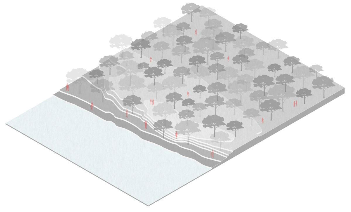 Site Diagram Development