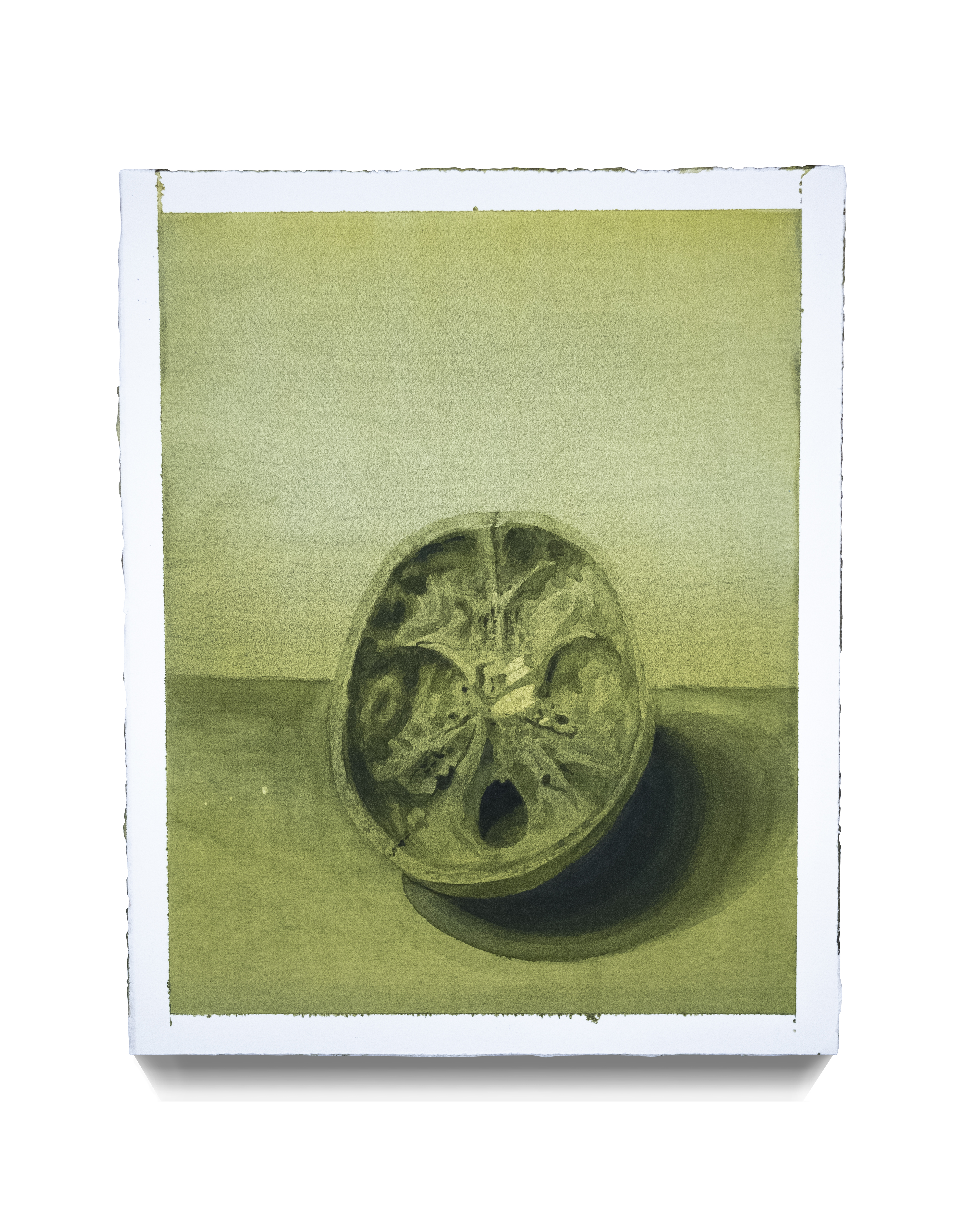 Downers Grove,&nbsp;2019Watercolor on Arches Paper Adhered to Wood Panel20 x 16 inches (50.8 x 40.64 cm)