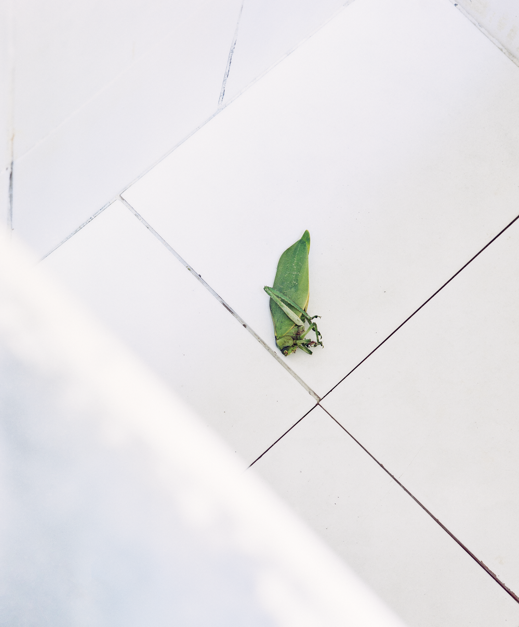 20/35, Untitled 2022