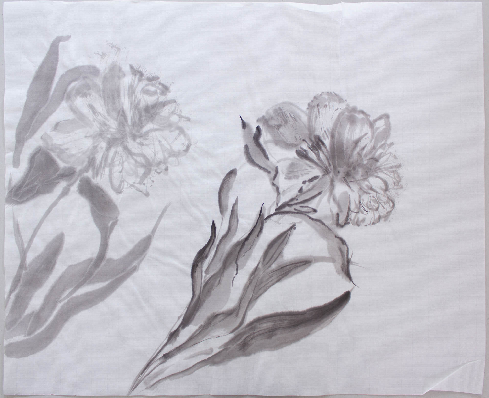 Peony I, Sumi-e, 2018, 37x45cm