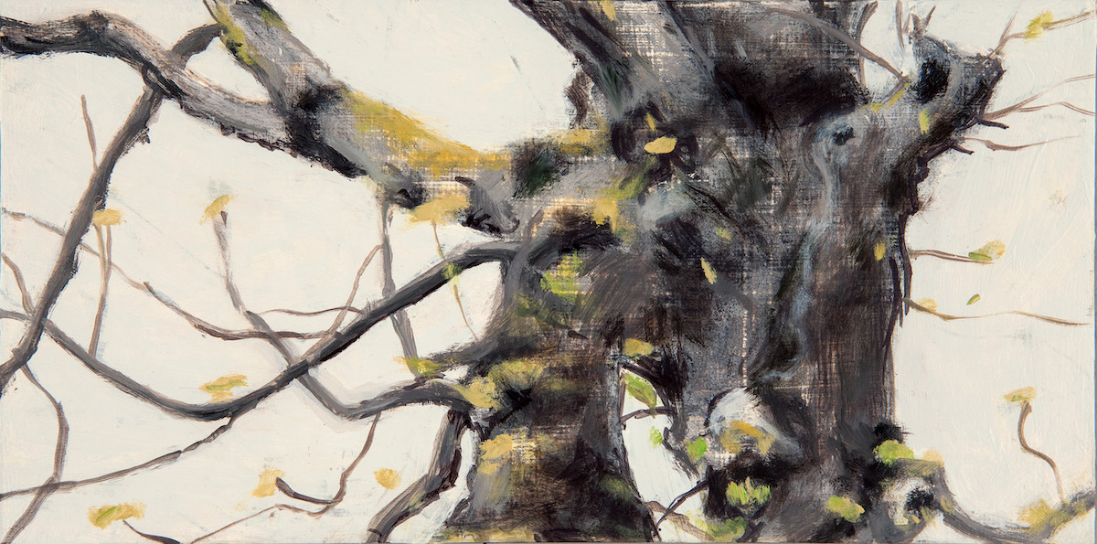 Magai, Old Tree in Spring, 2023, Oil on panel, 6 x 12 in. (sold)