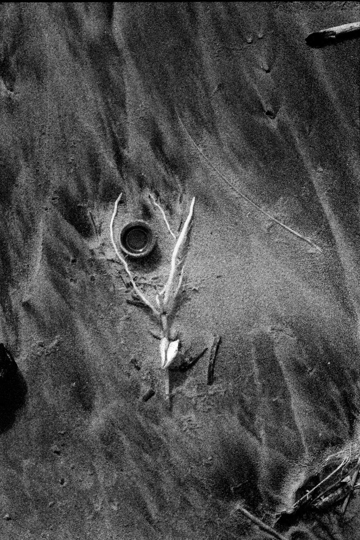 Choreographing Floors