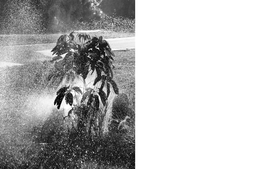 Spray, 2019. Archival pigment print, 20 x 16 inches. 