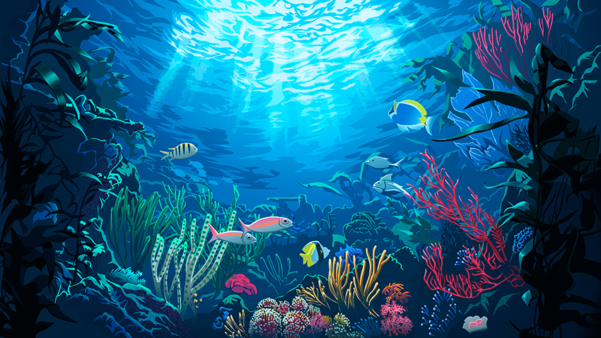 marine life illustration