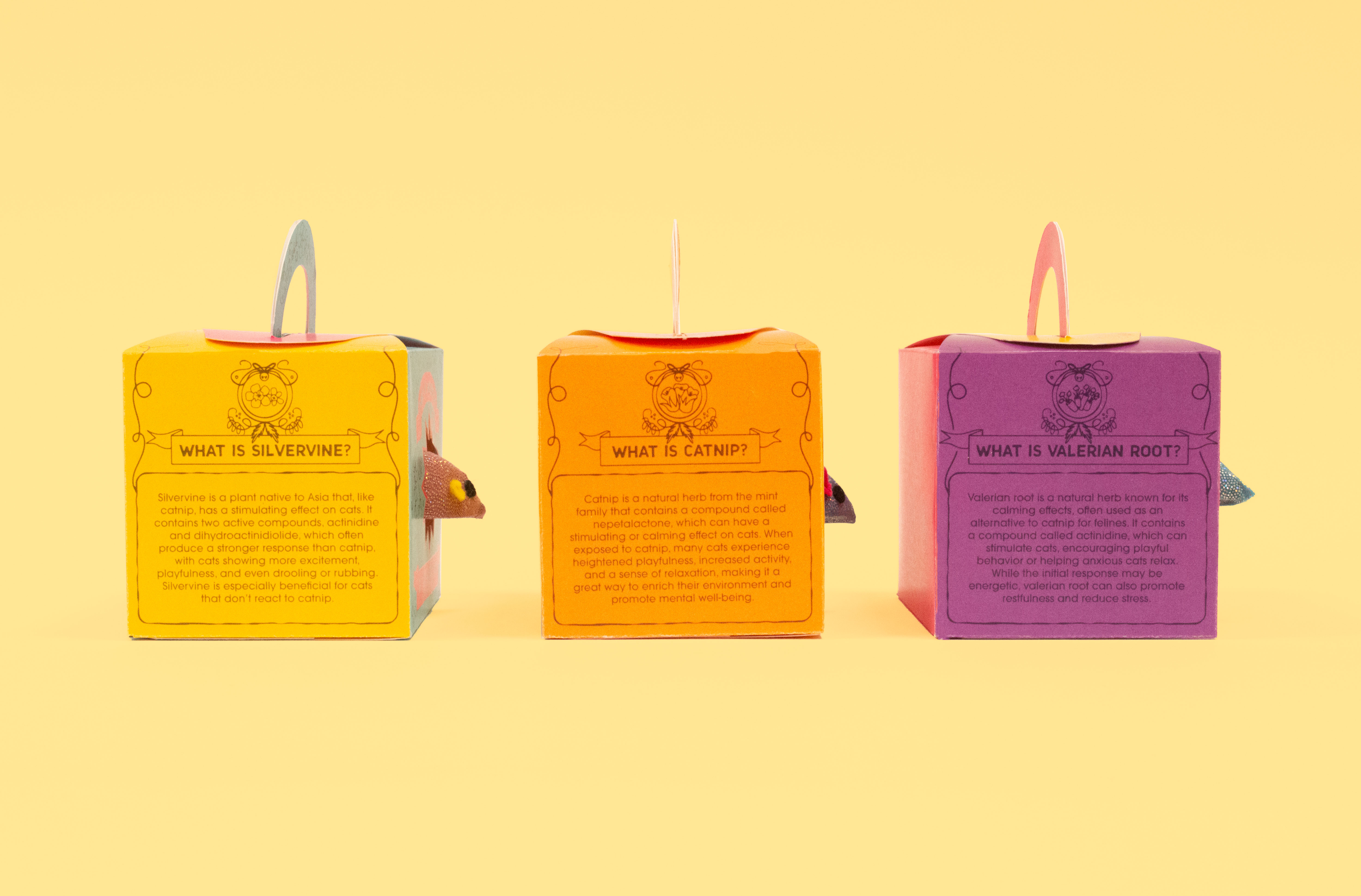 An orange studio shot background featuring the left side of the box on all three packages, which differ in cat herbs.