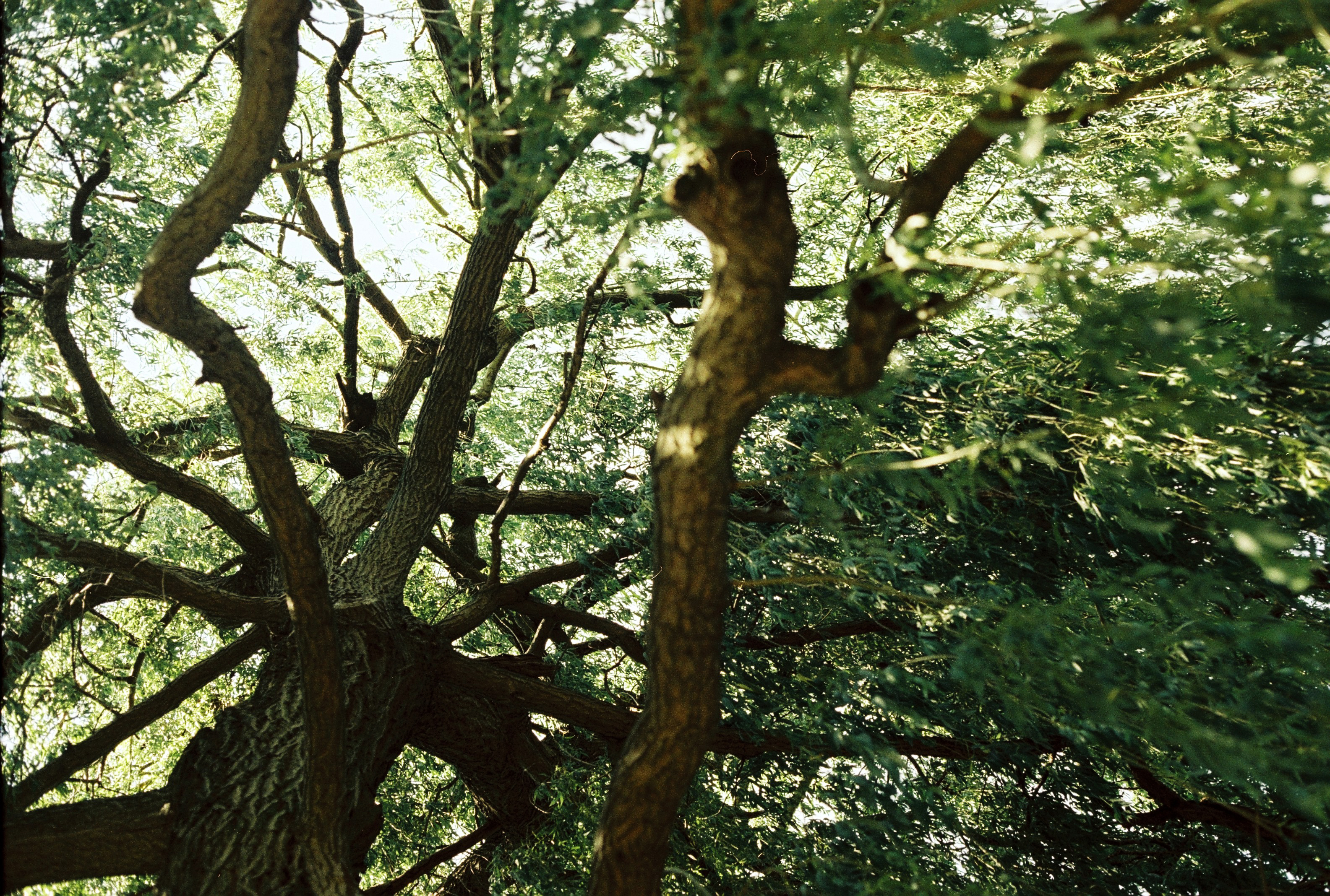 Berlim Alemanha, 2023, Canon FTb