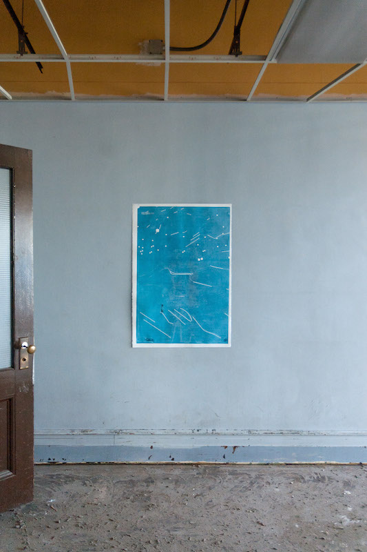 Aaron Gemmill, to live where others pass (nest I), 2014, 44 x 30 inches, lithographic ink, adhesive, and Plexiglas on cotton paper