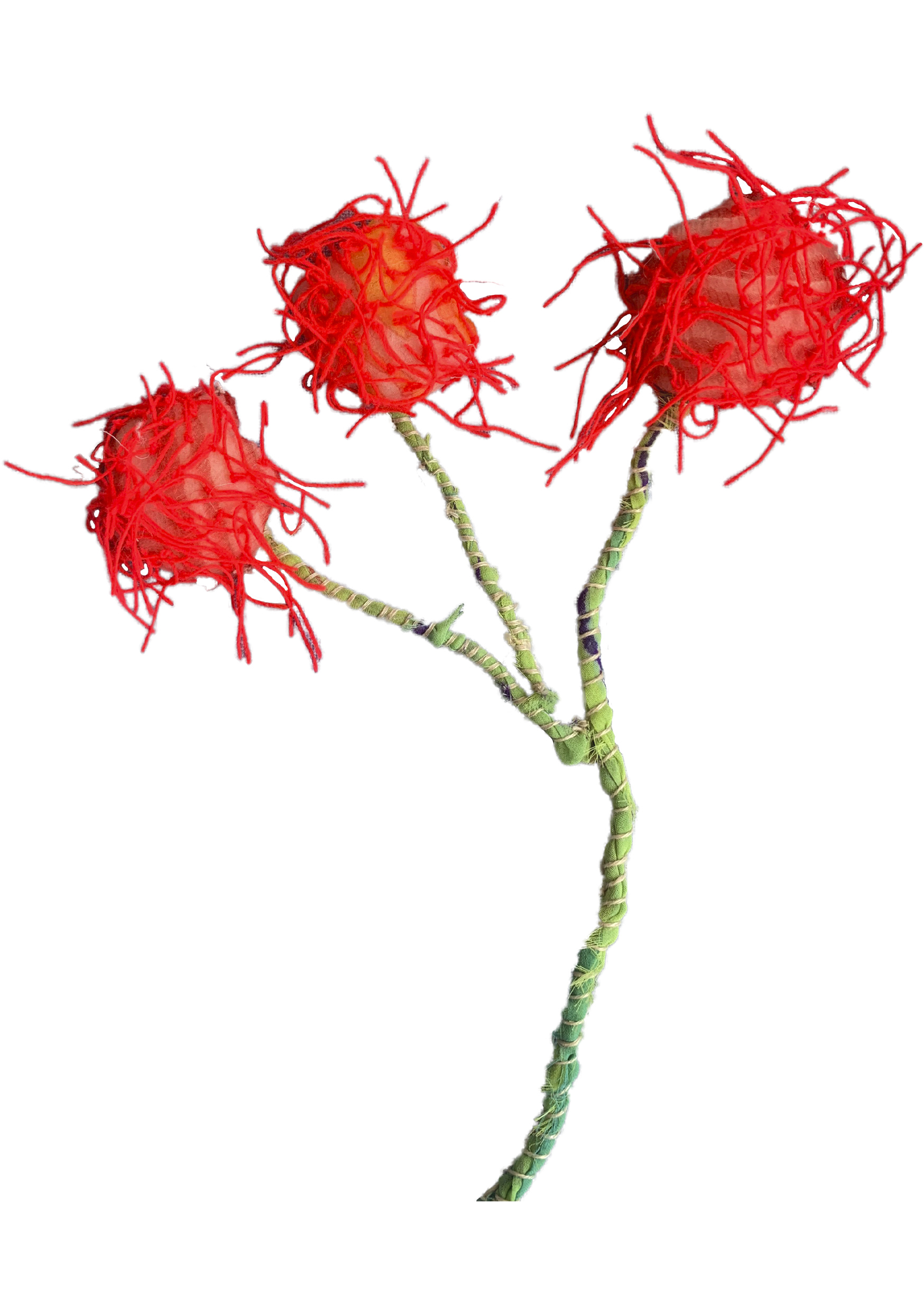 Dew Flowers