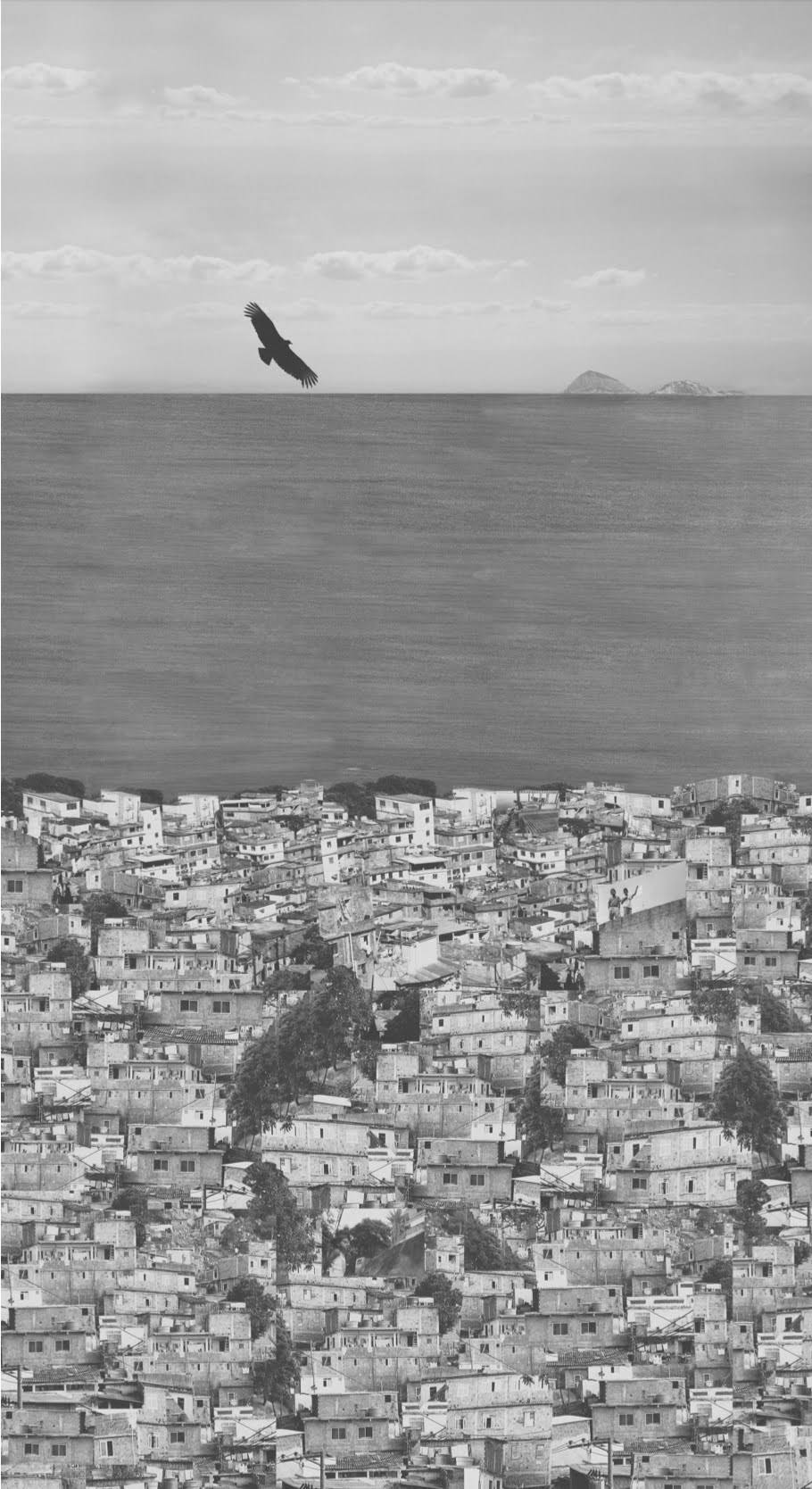 © Françoise SCHEIN