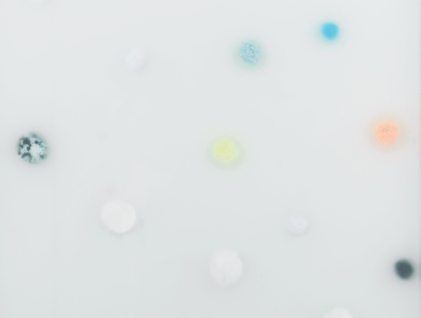 Pollen [série Les Inaperçus] (détail)technique mixteChâteau de Vassivière, Centre International d'Art et du Paysage