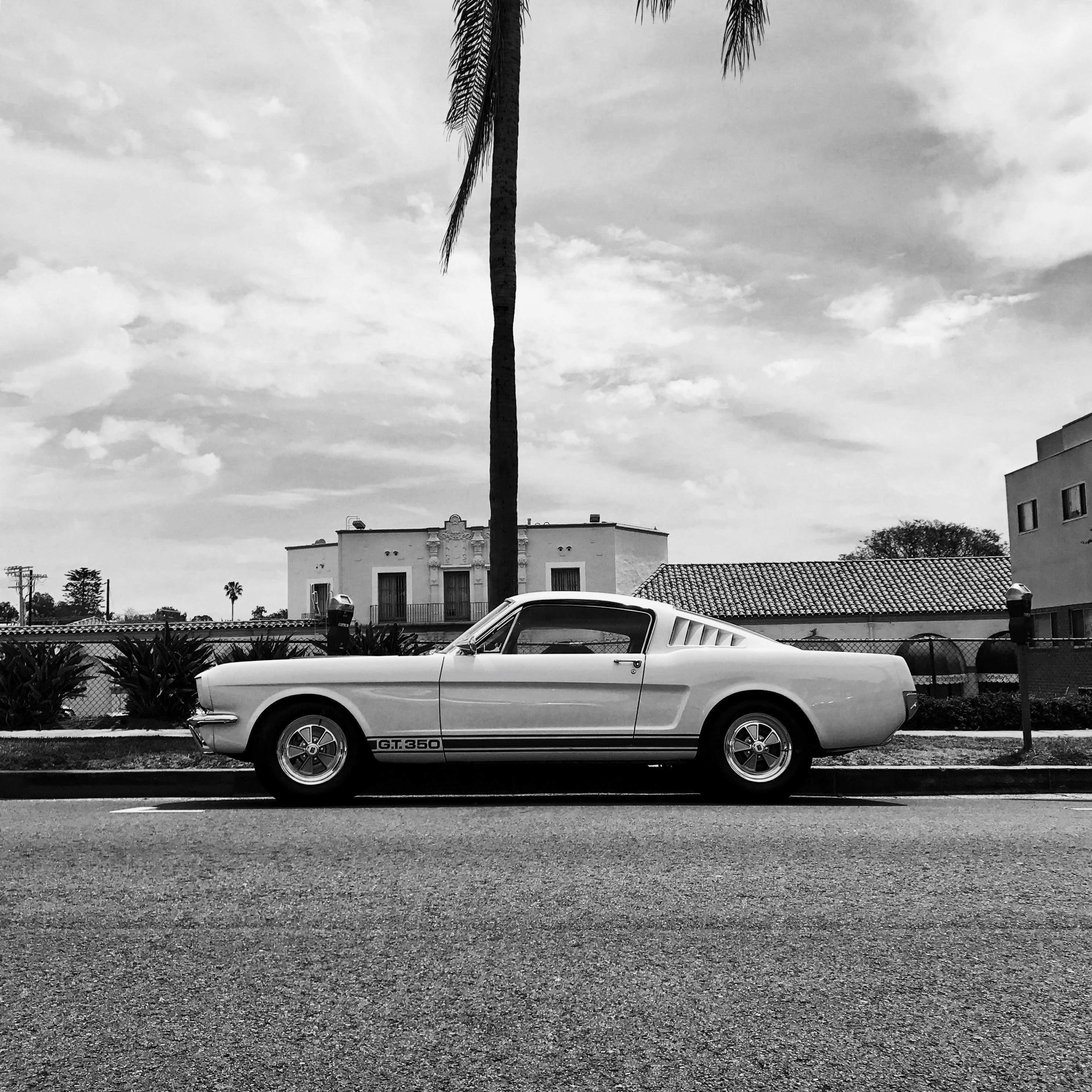 G.T. 350
