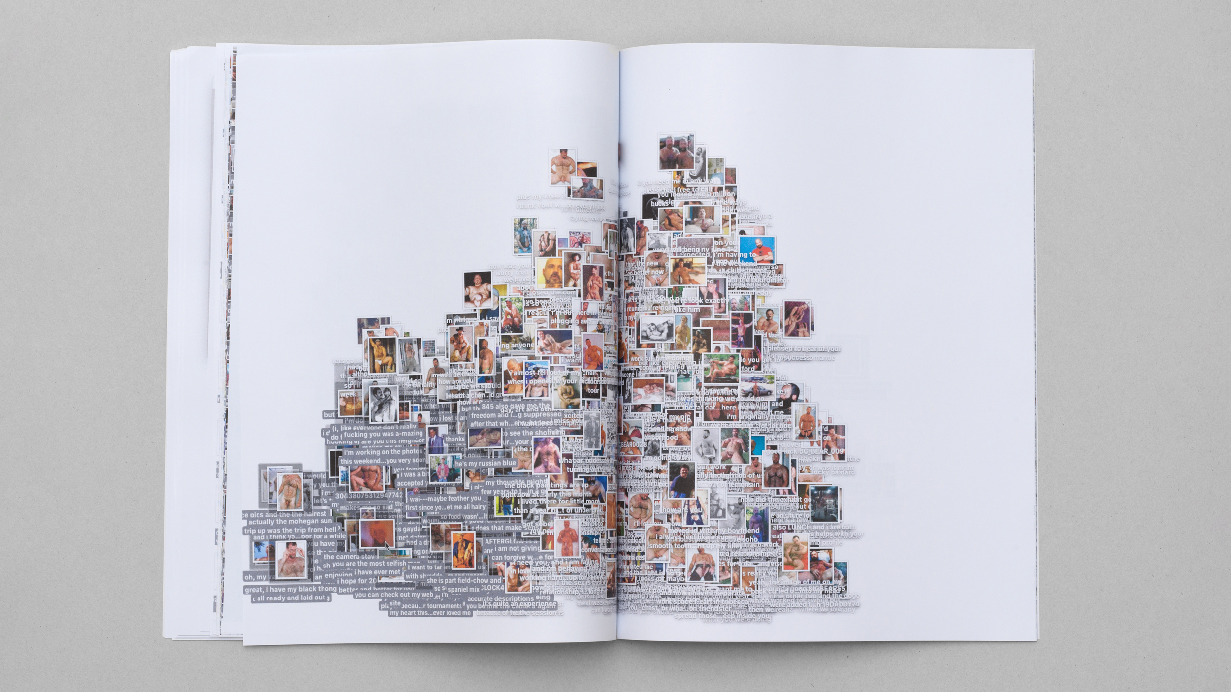 book, Library of the Printed Web, 2016