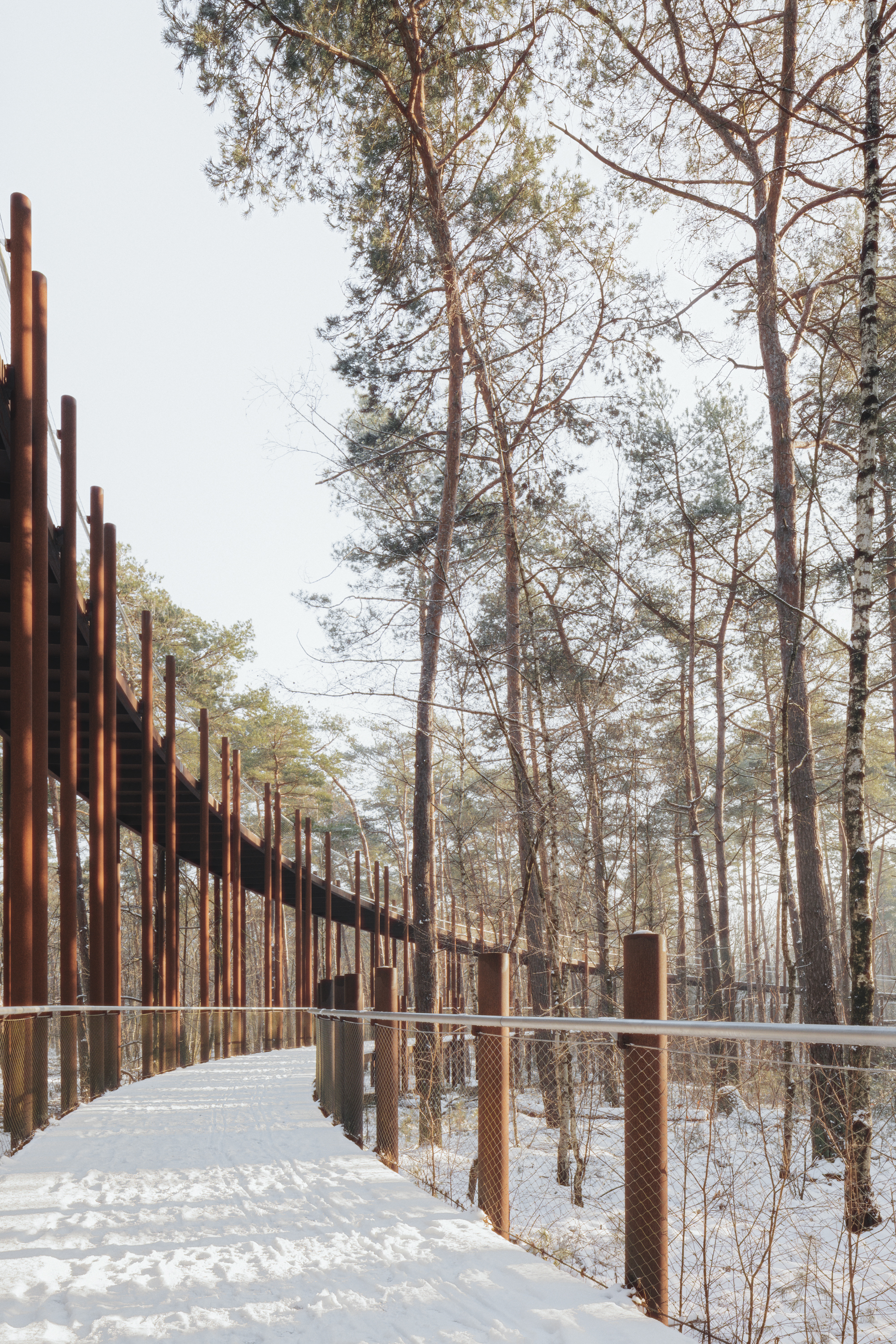 Fietsen door de bomen - BuroLandschap, Atelier Ensemble & De Gregorio & Partners