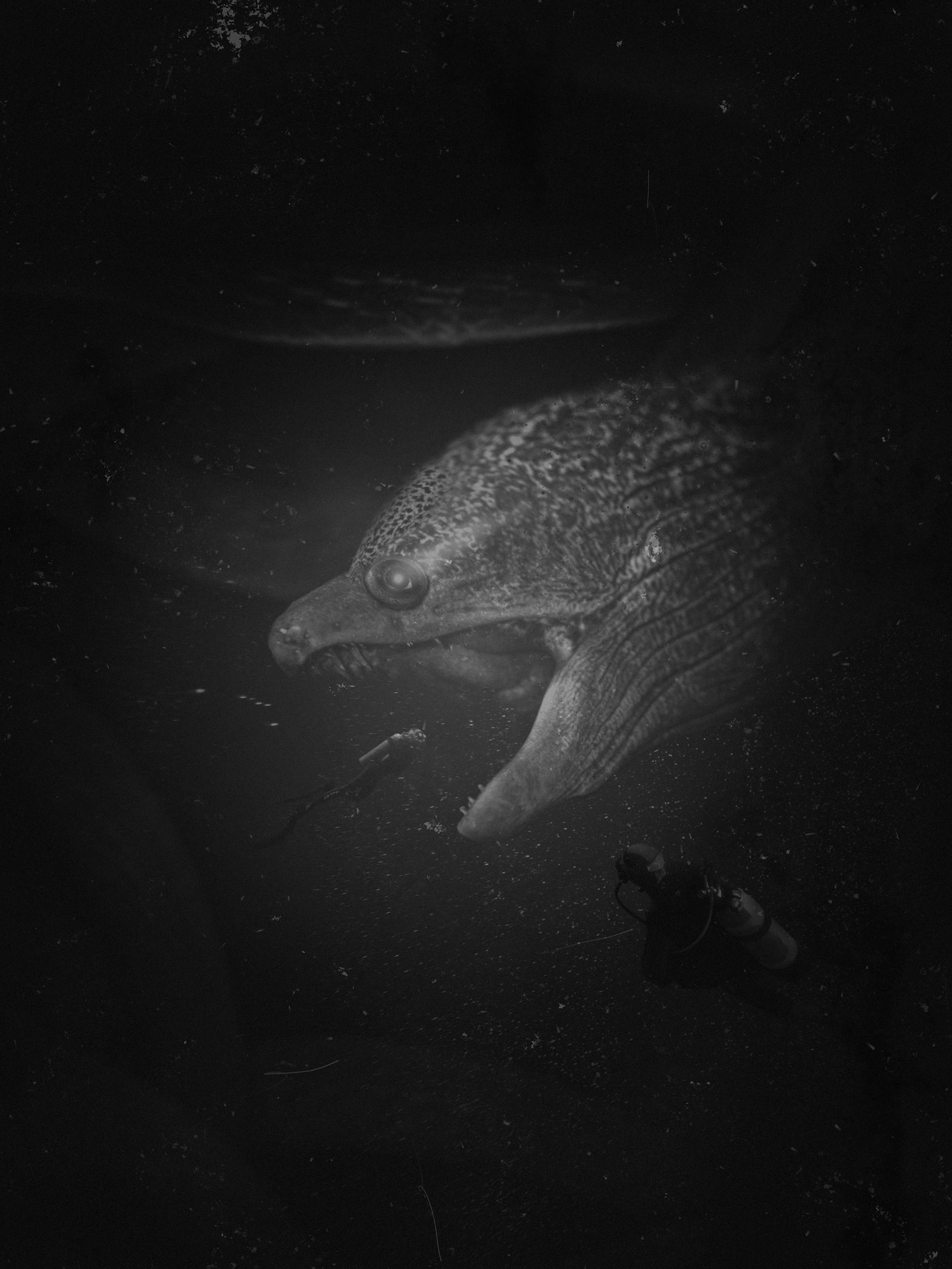 [No.25] "ANANTASHESHA" — Inspired by the story "SCP-3000"