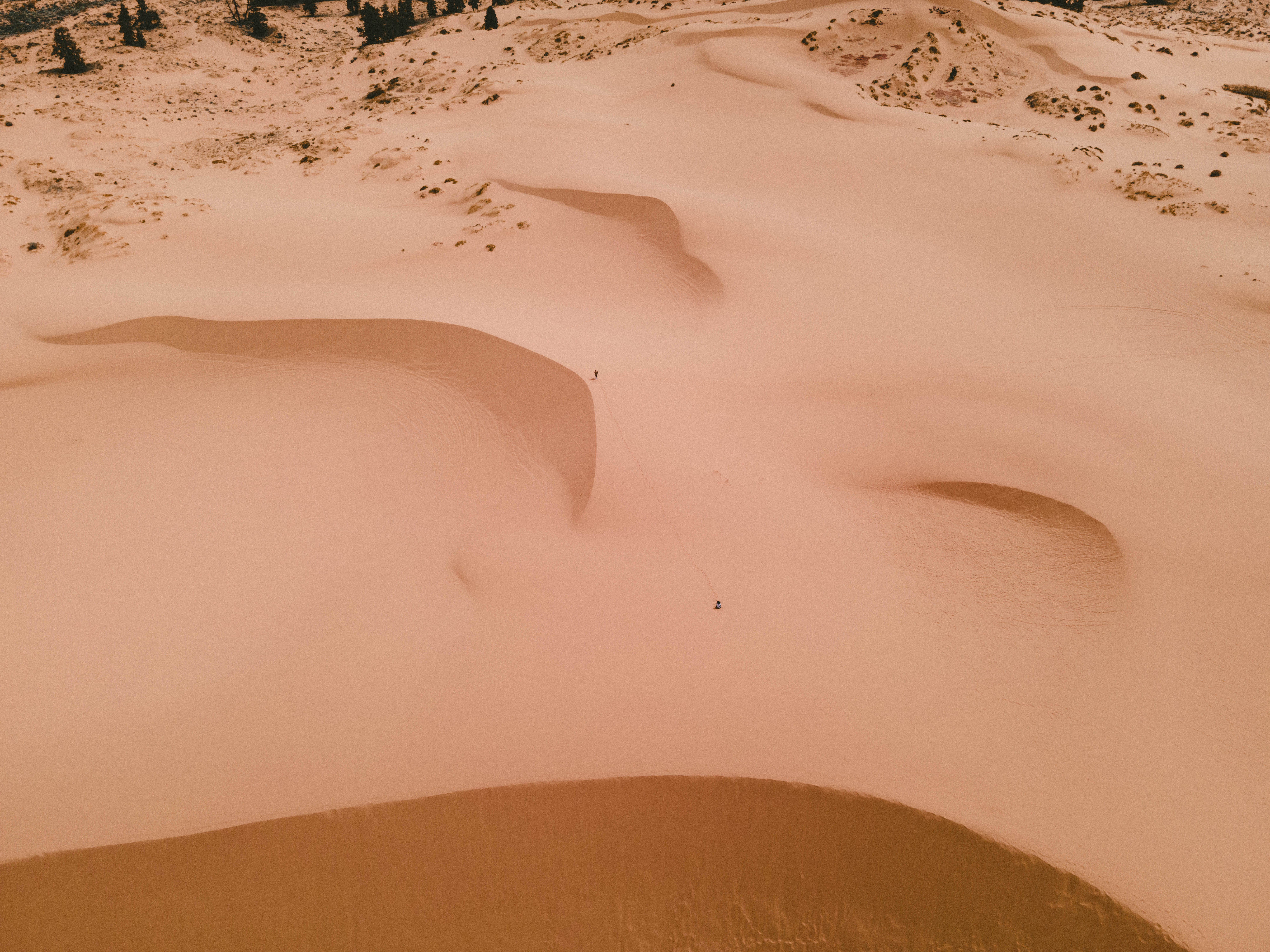 Coral Pink Sand Dunes