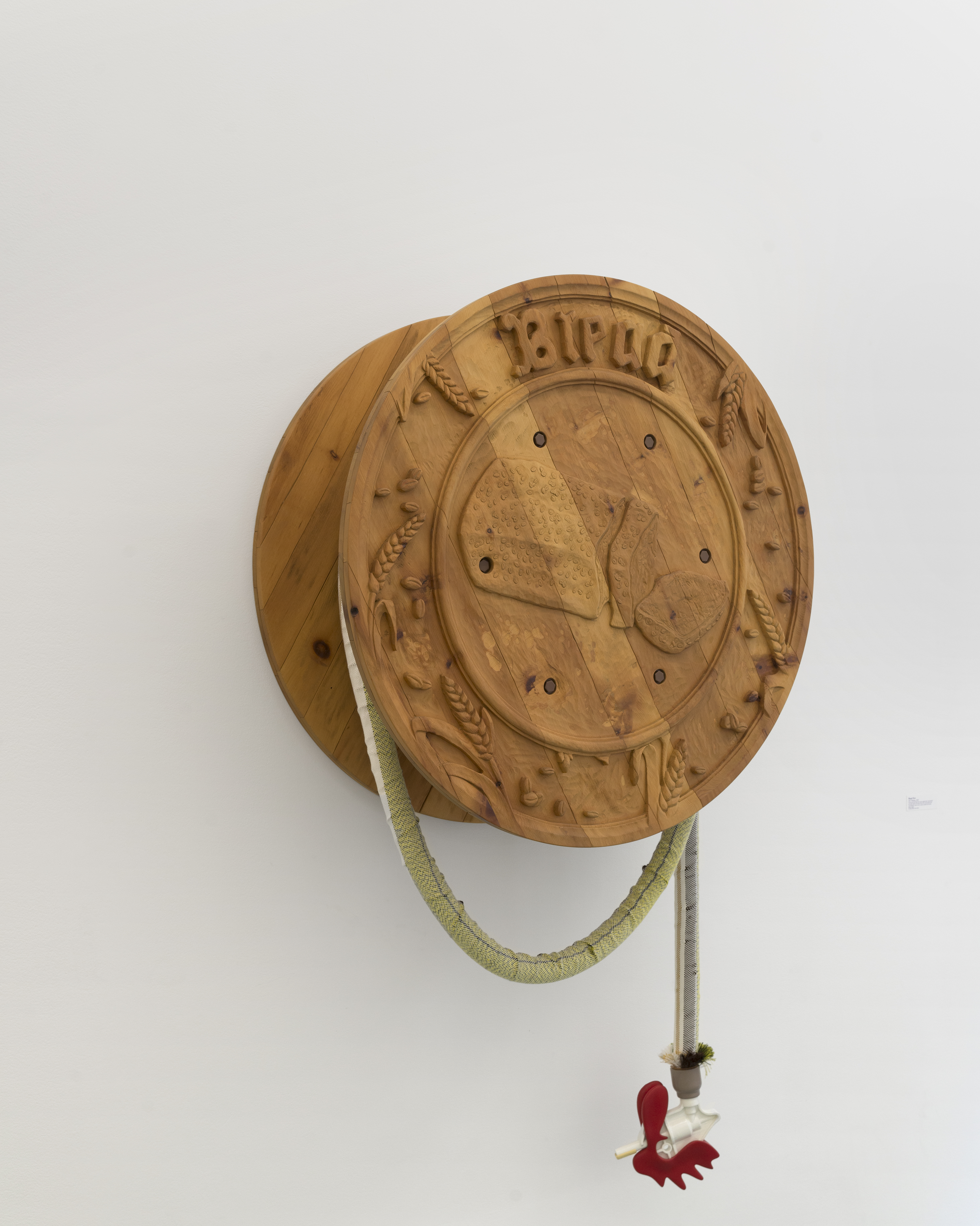 P|cture by Fabien Silvestre Suzor