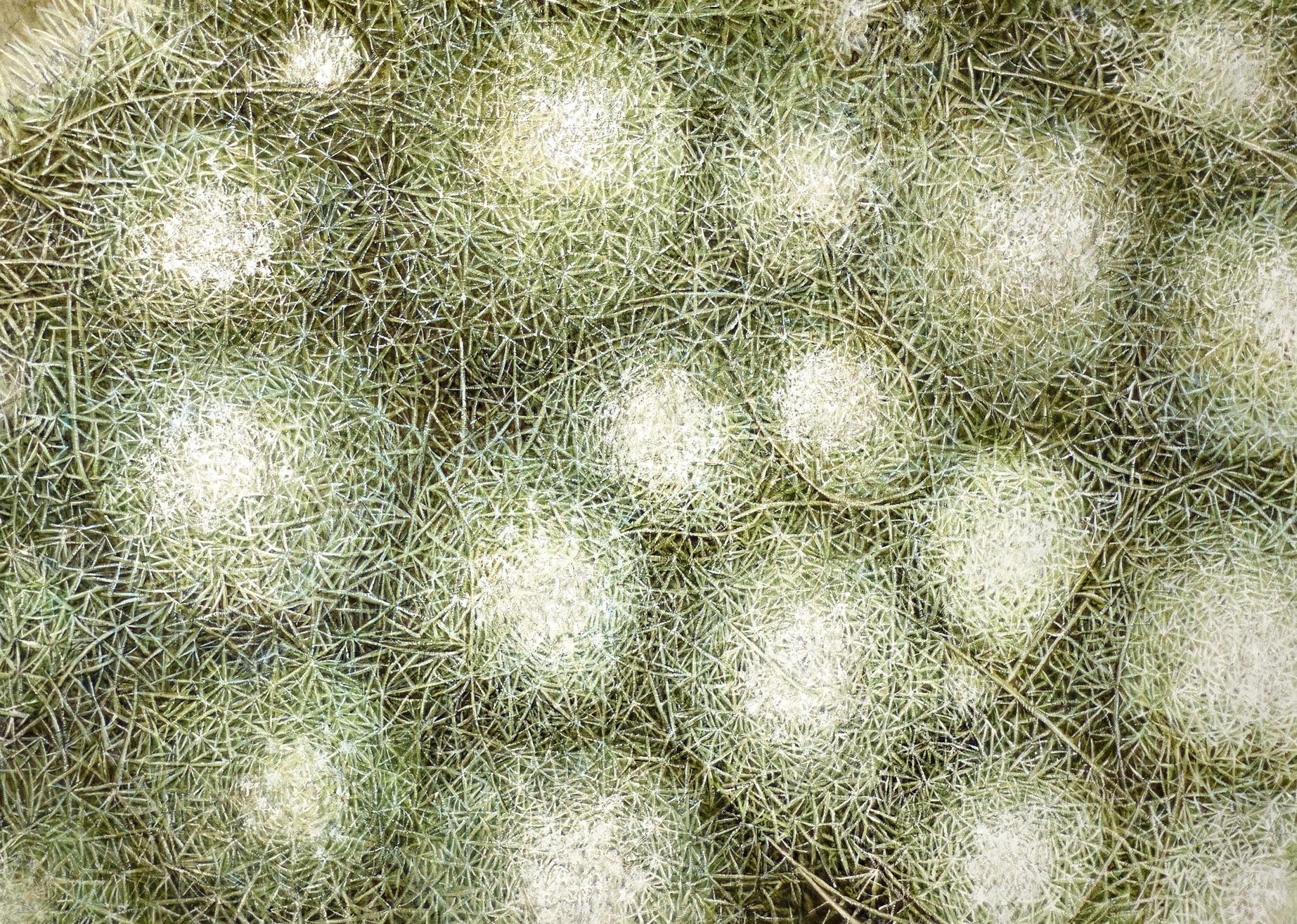Integrity, 230 × 190