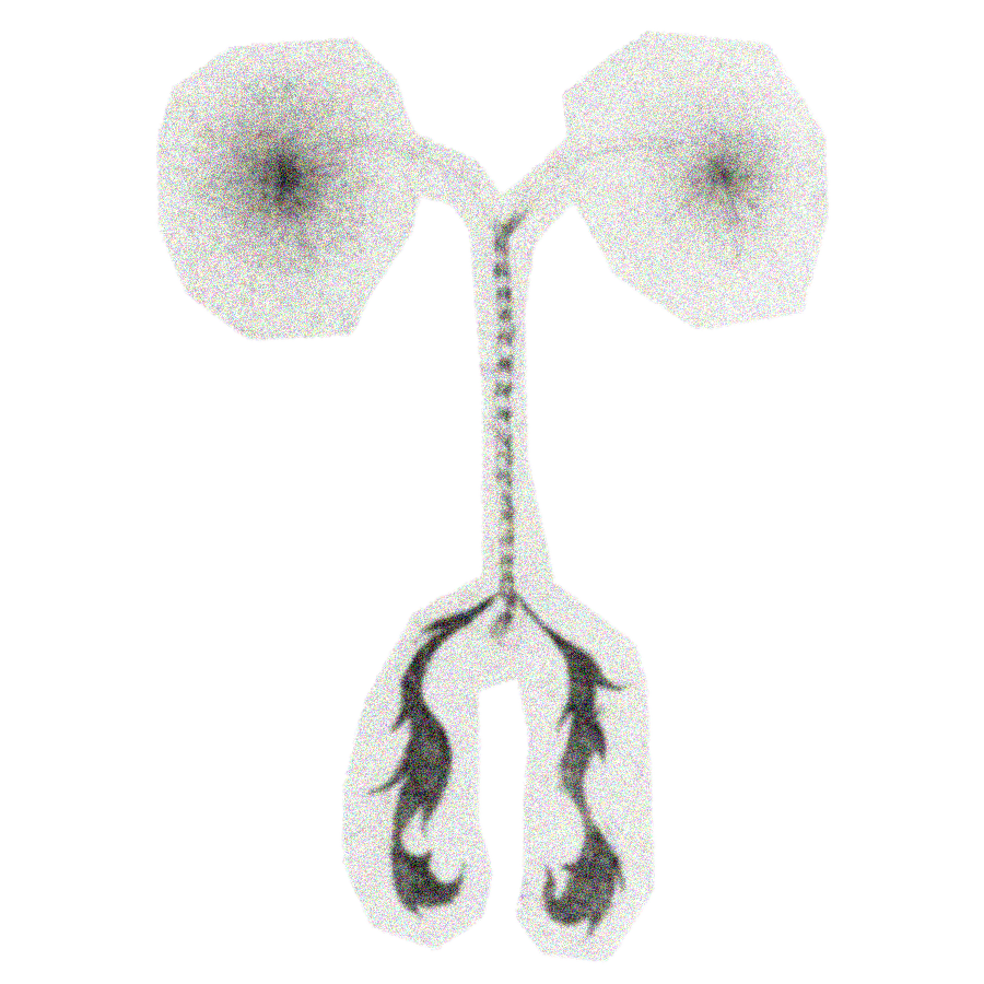 in my dream I was liberated