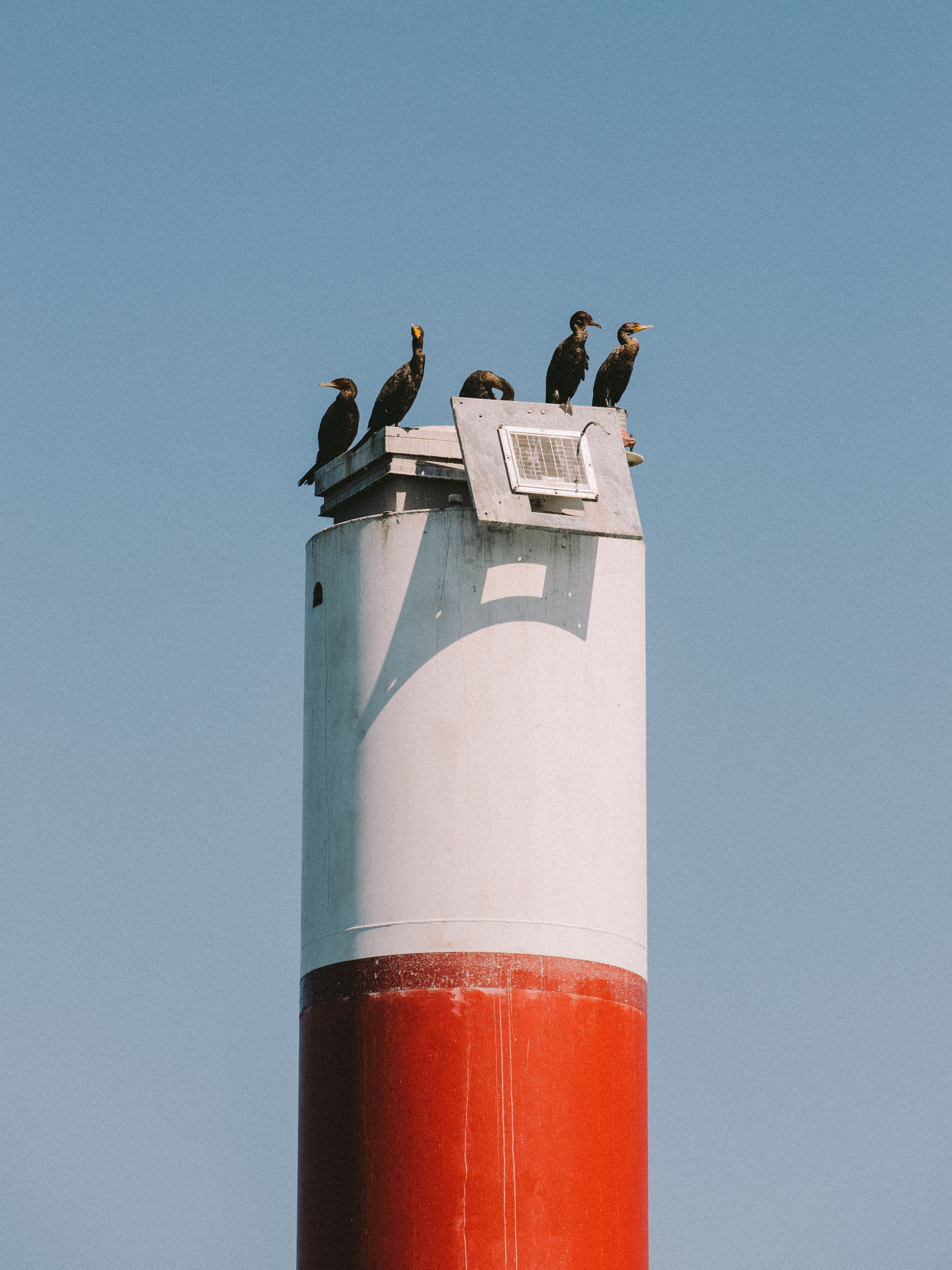 Chicago Regatta, for IWC