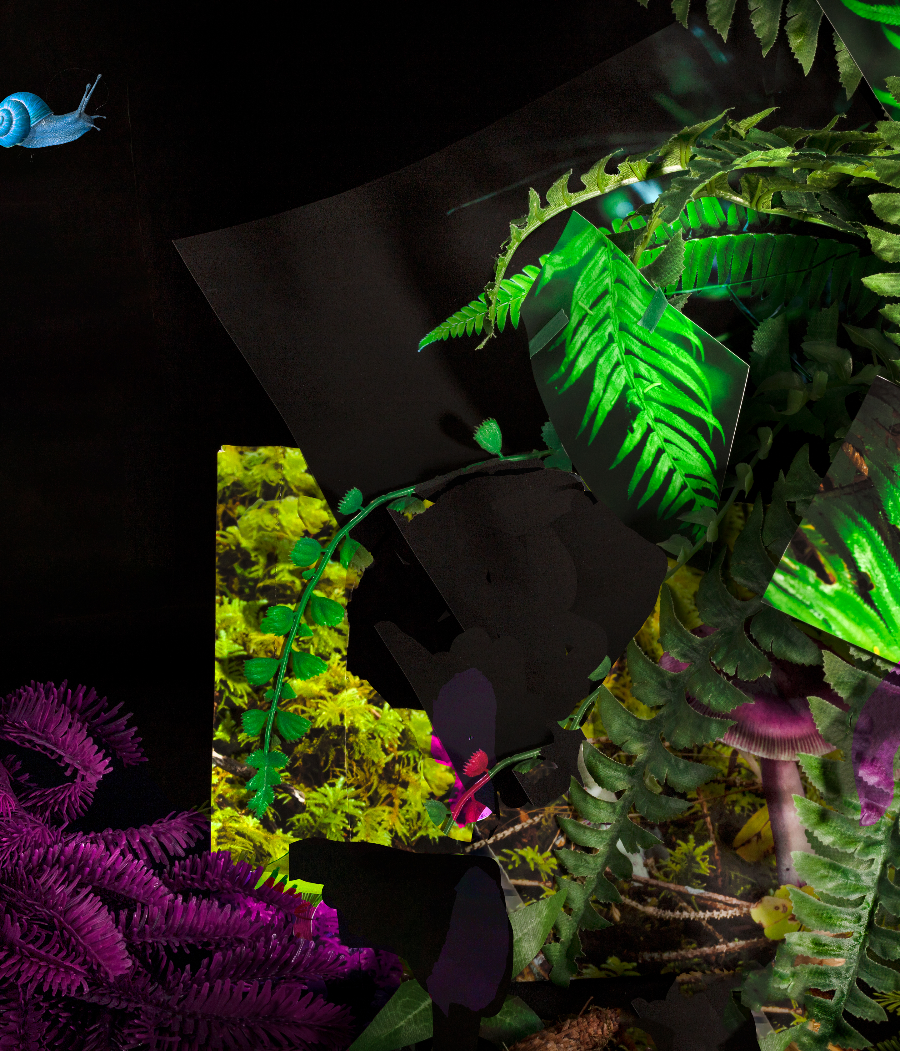 And I became the snail I always was, crossing the field in my helmet, 2022, archival pigment print, 20”x17”