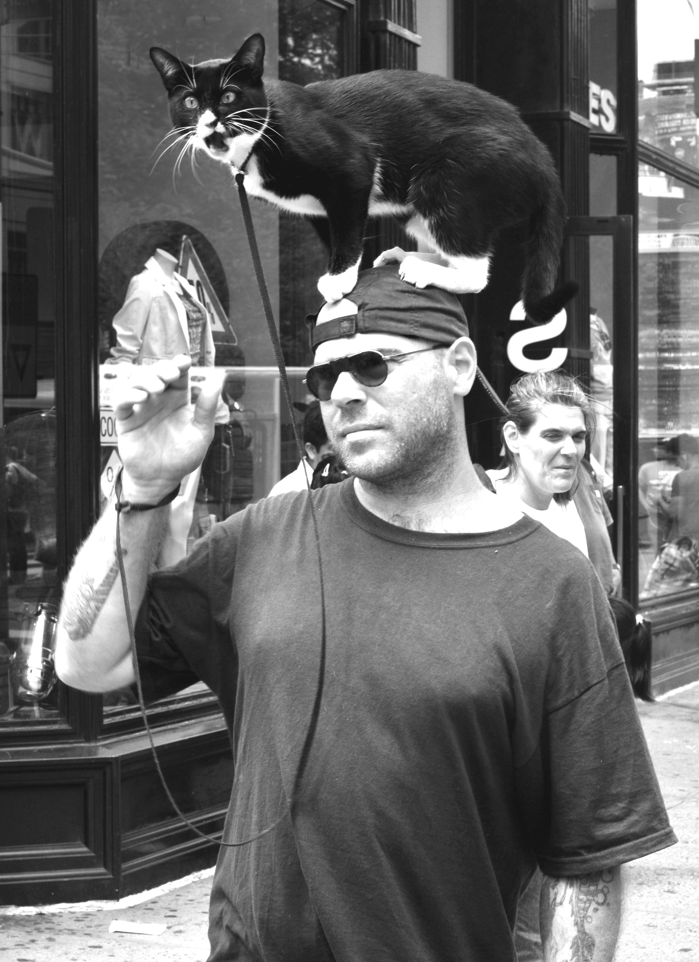 Union Square BUY THIS PRINT