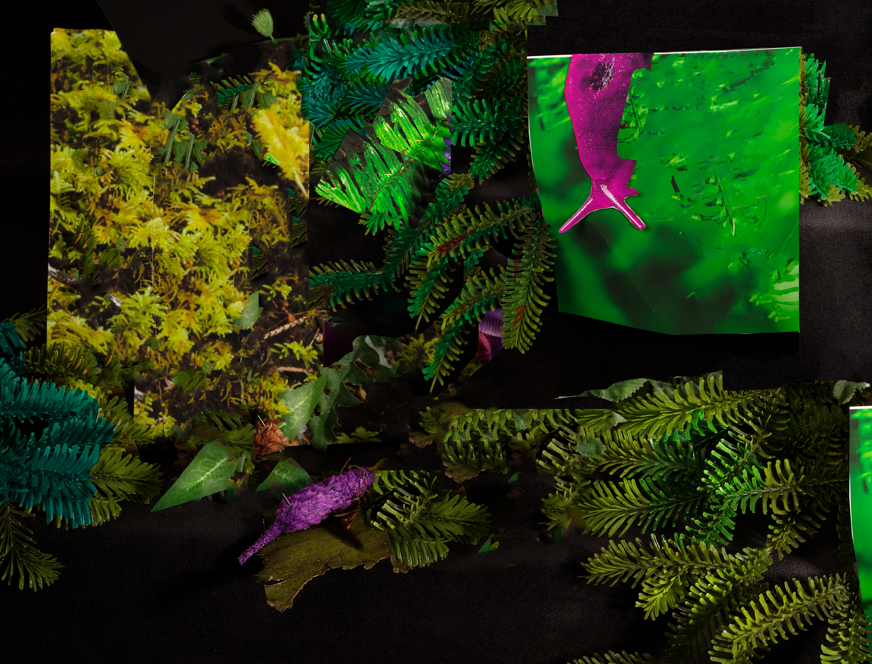 As slowly as it takes to dig a pit to hold a sleeping giant, 2022, archival pigment print, 8”x10”