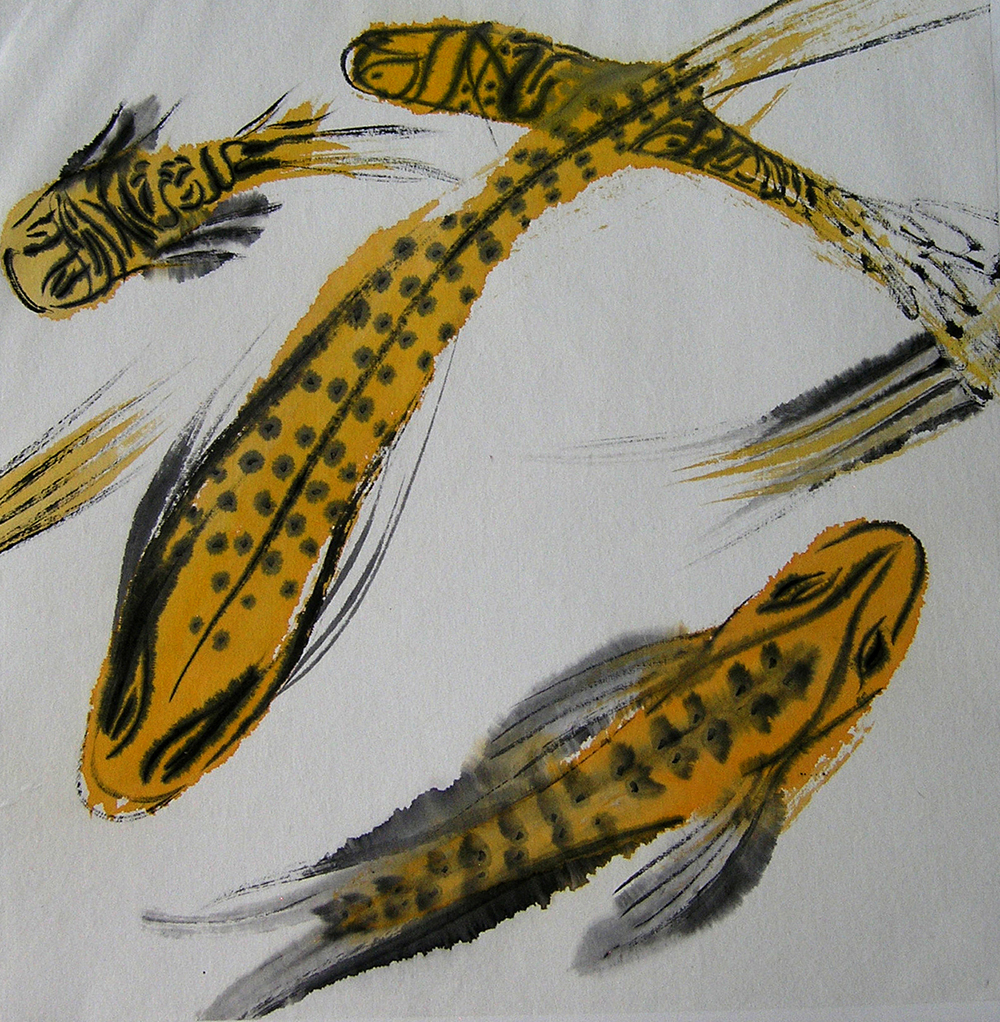 2016  fish / serranidae plectropomus, leopard coral trout / nr. 2 / 50 x 50 cm / sold