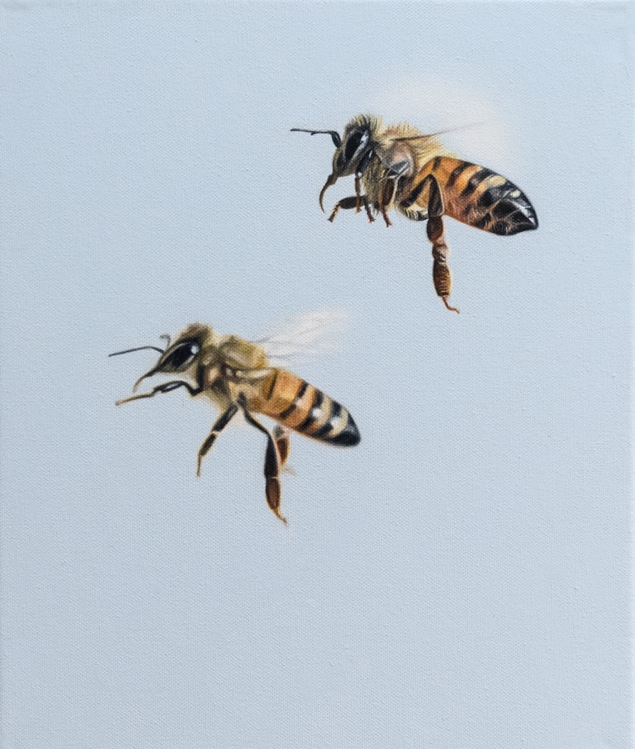 Bees II 2020 Oil on Canvas 12"x10"