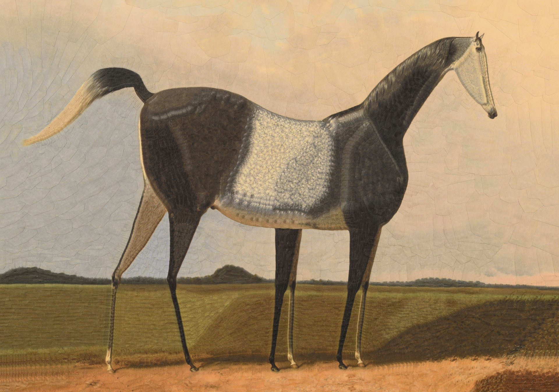 Horse in a meadow after Alois Bach, 2024, 16.5 x 11.6 inches 