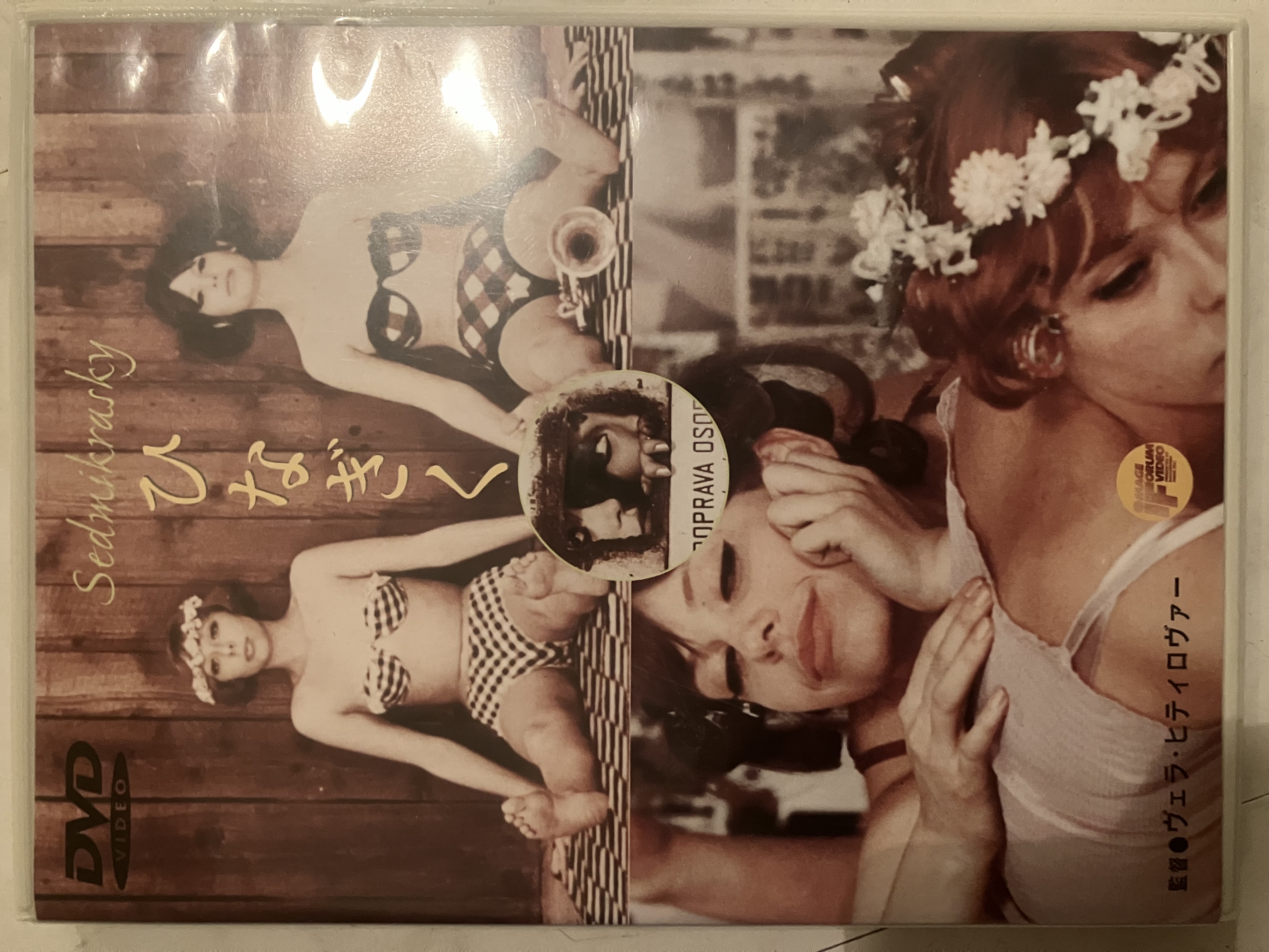 ひなぎく - MARCH 7, 2025