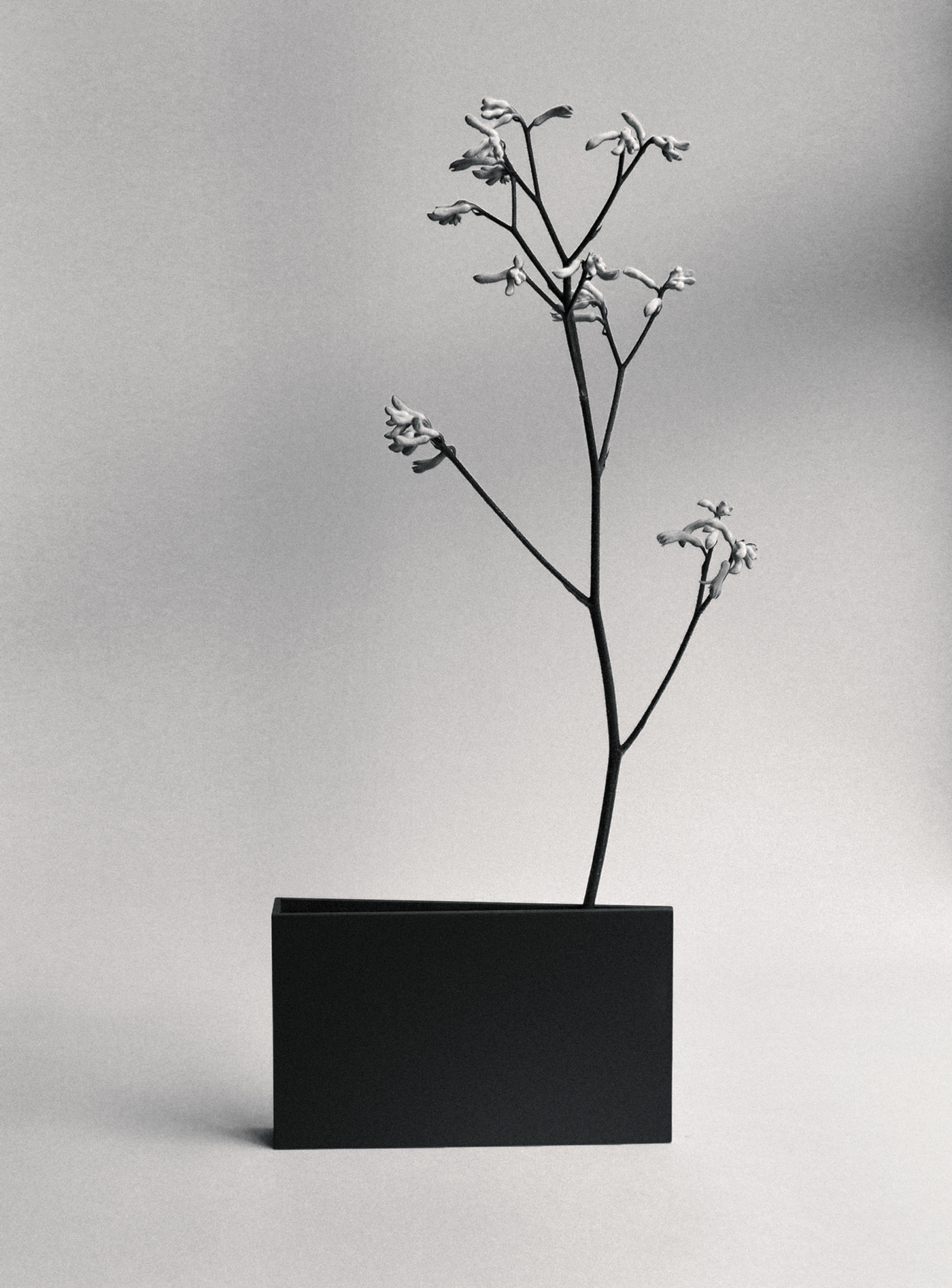 01 — 03