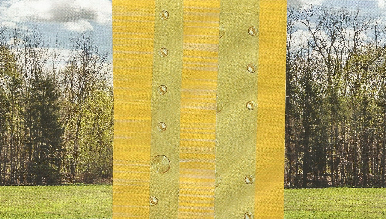 Puke Forest - Spring 2017