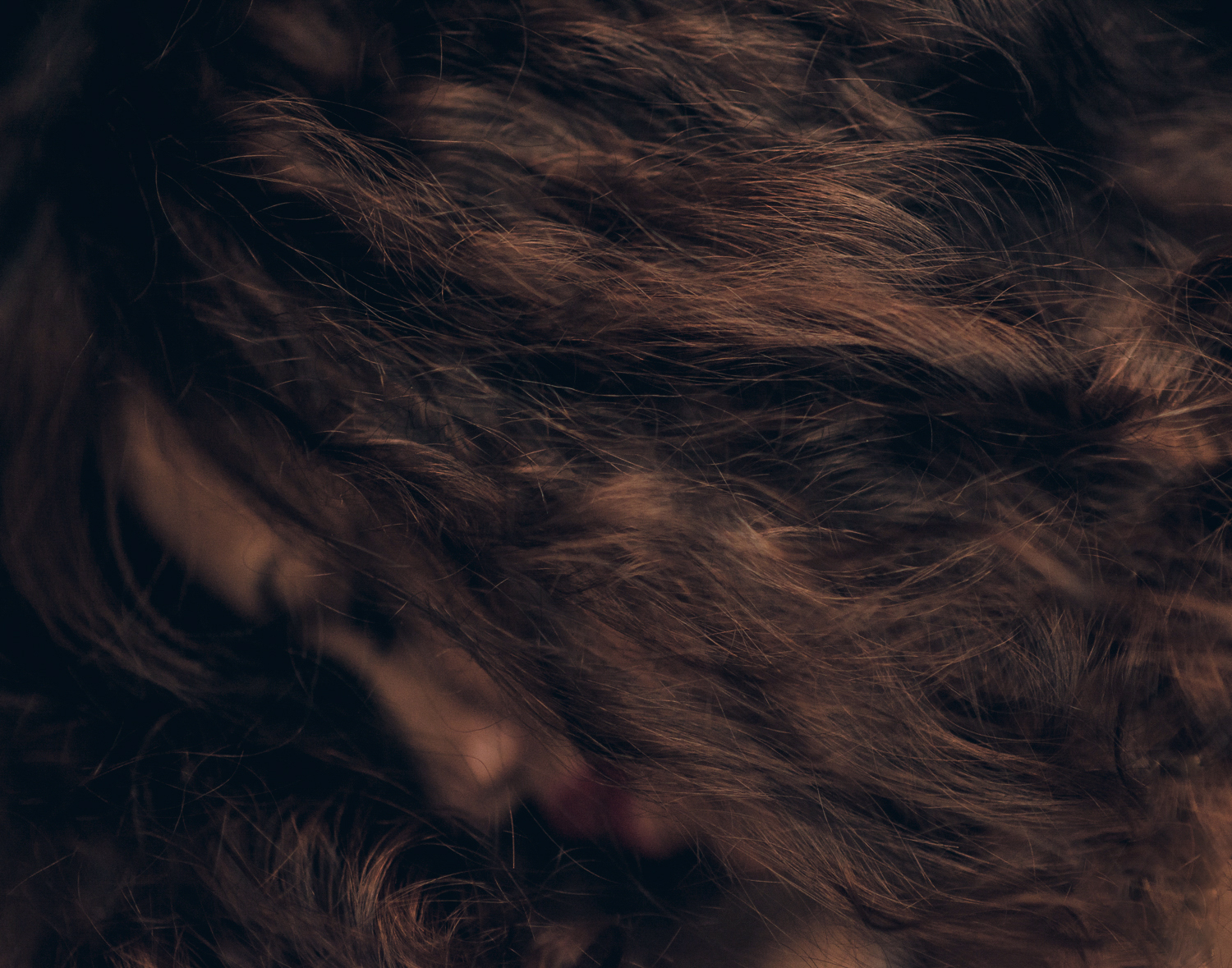 MADRE @ Brasília [df], 2016