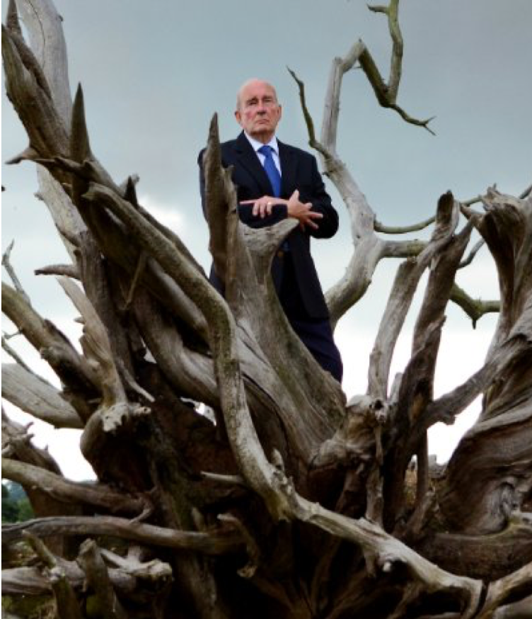 The Unfinished Portrait